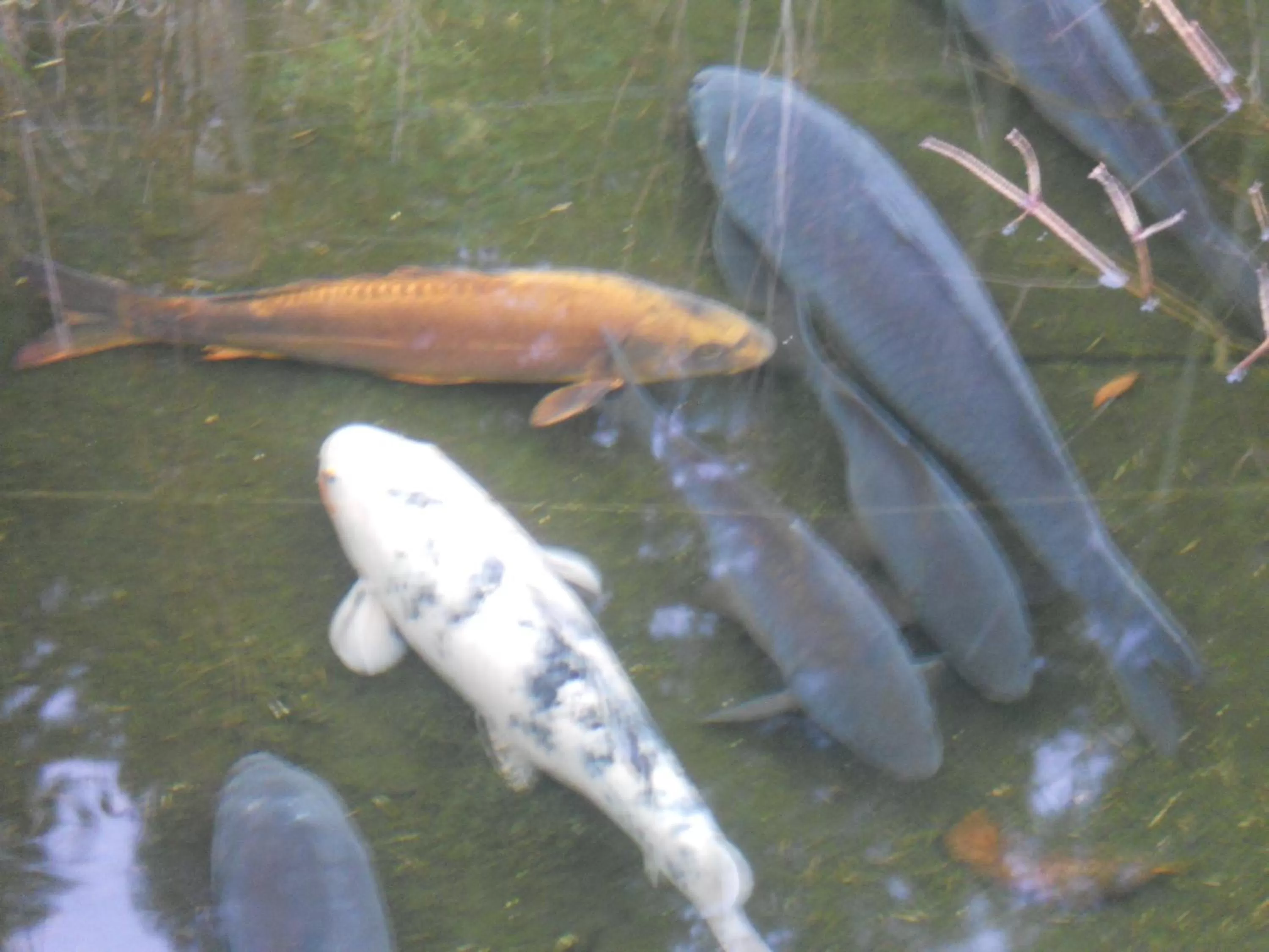 Facade/entrance in Auberge du Saut des Cuves