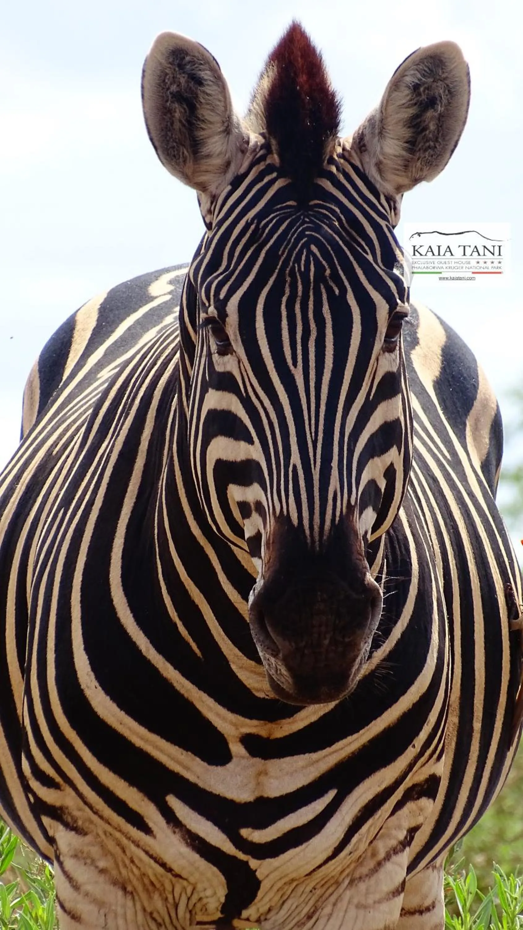 Activities in Kaia Tani Exclusive Guesthouse