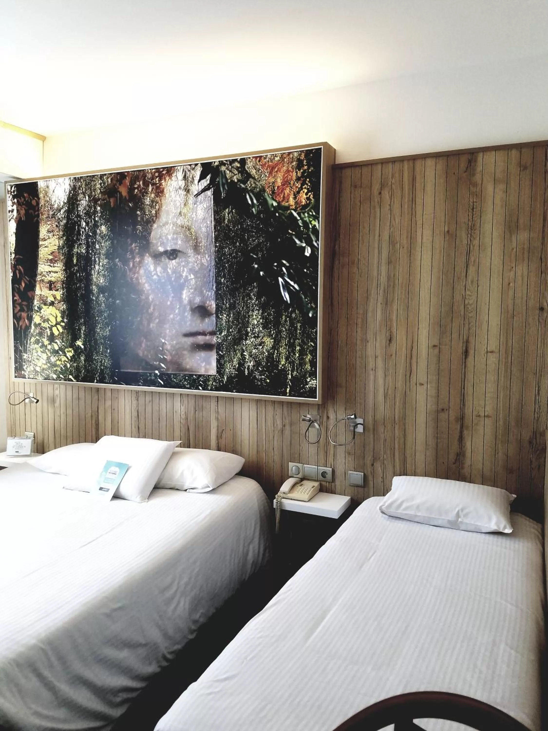 Bed in Kyriad Hotel Tours Centre