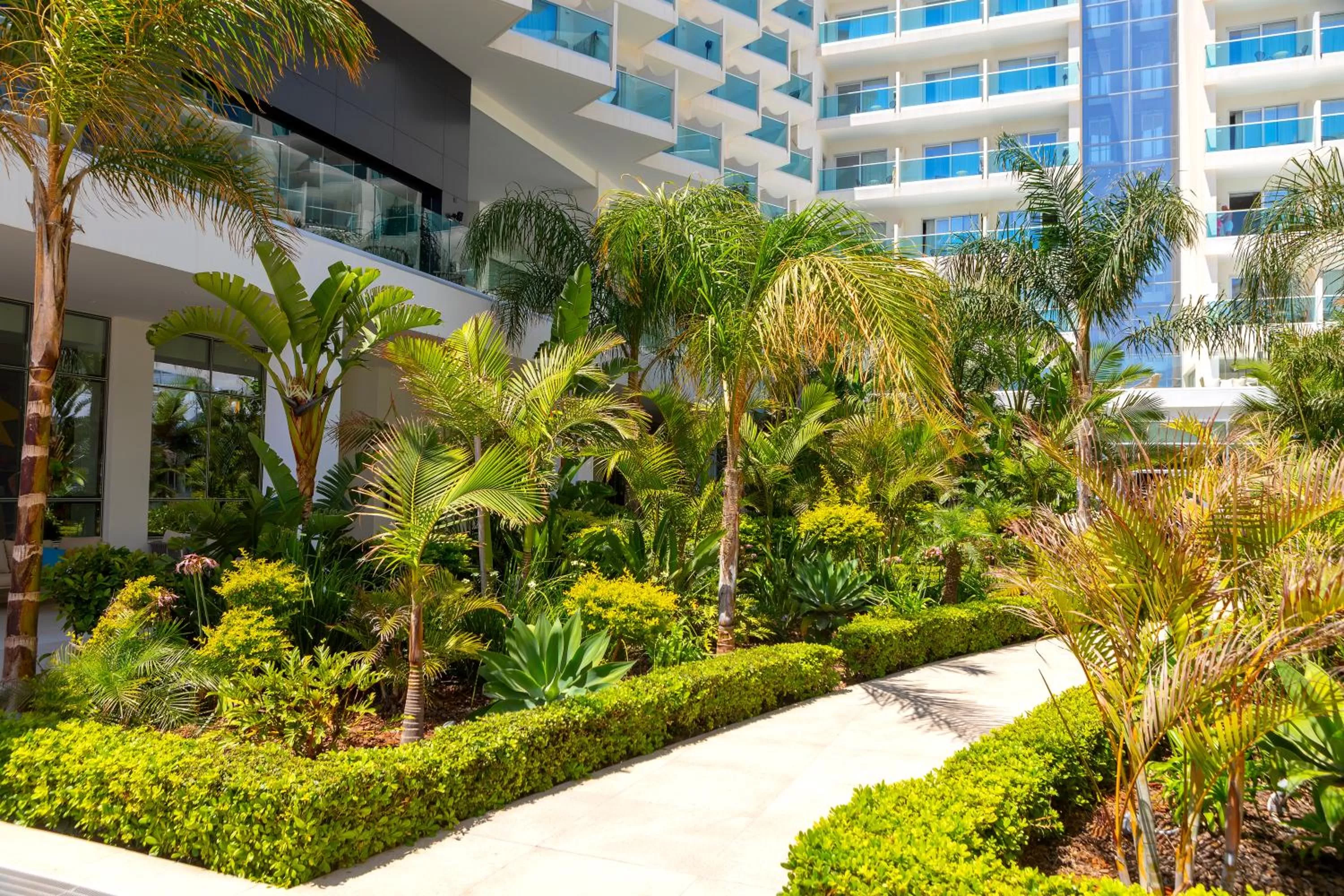 Day in NissiBlu Beach Resort