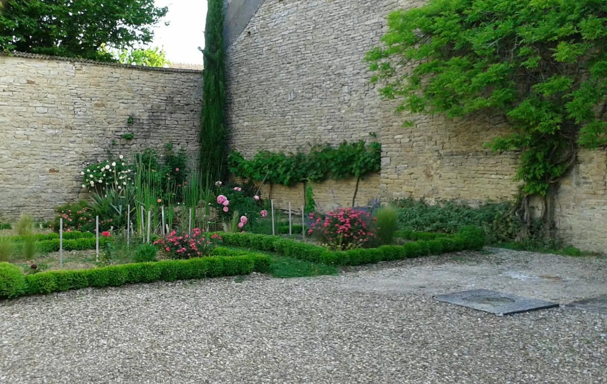 Garden in 10 Côté Cour