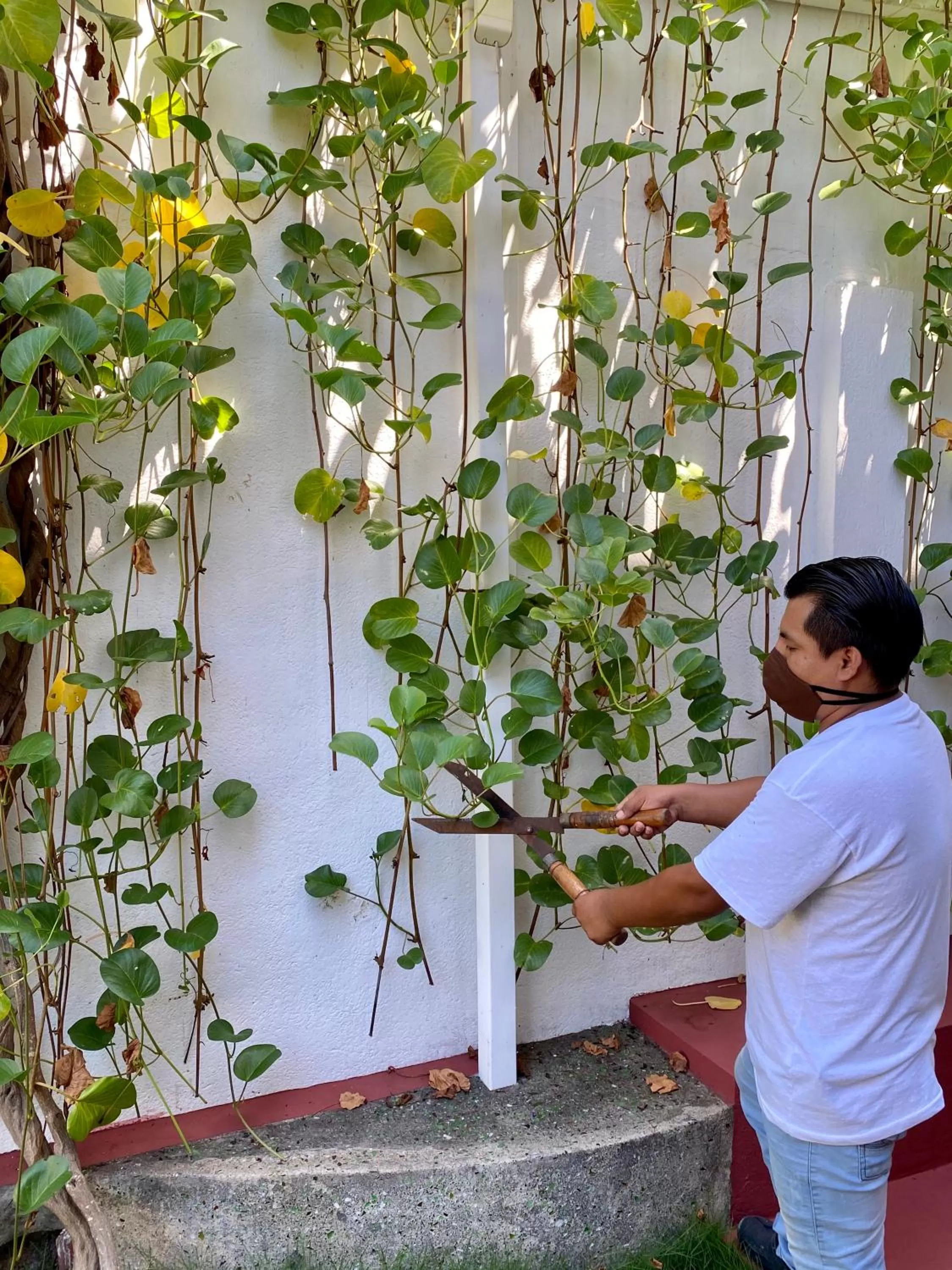 Staff in Hotel Galapagos Suites B&B