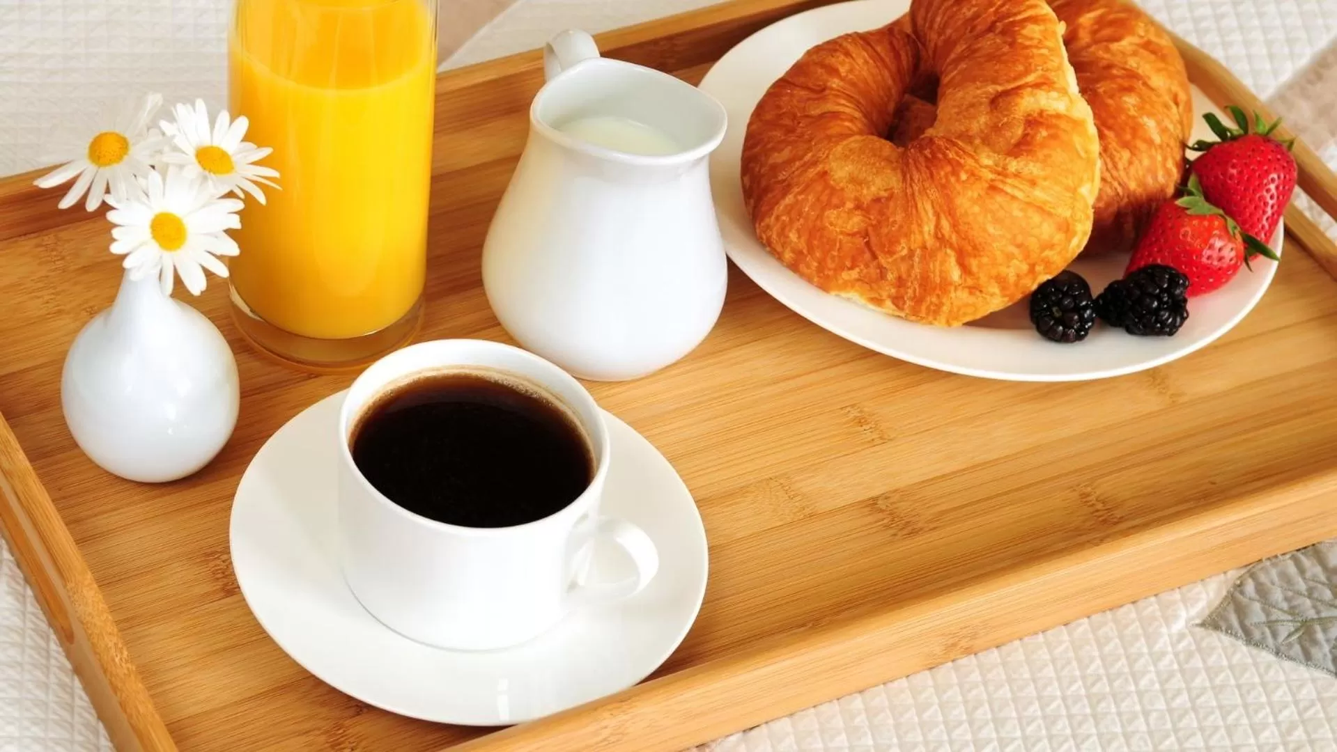 Breakfast, Coffee/Tea Facilities in Hotel Vila Stefa