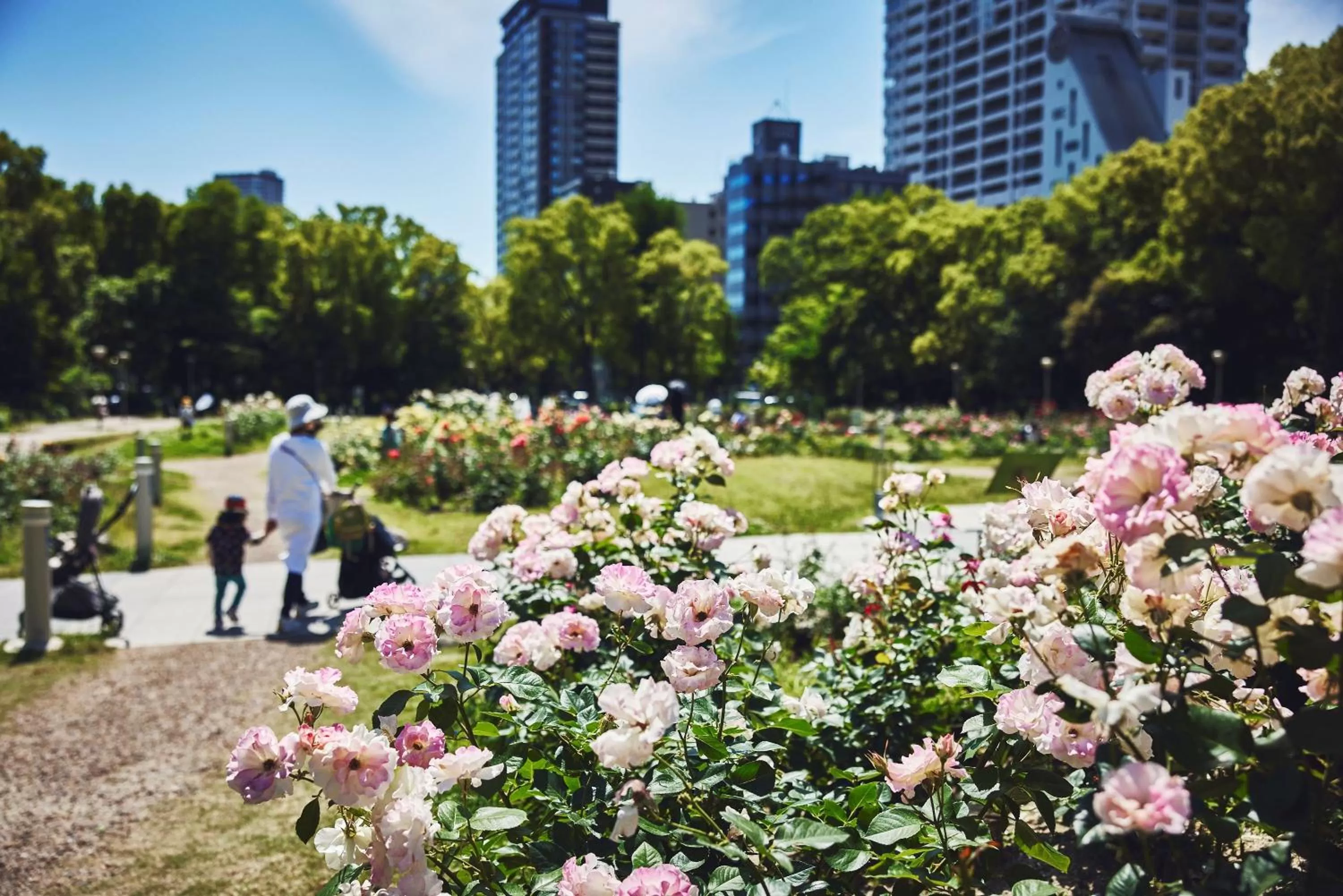 Nearby landmark in voco Osaka Central by IHG