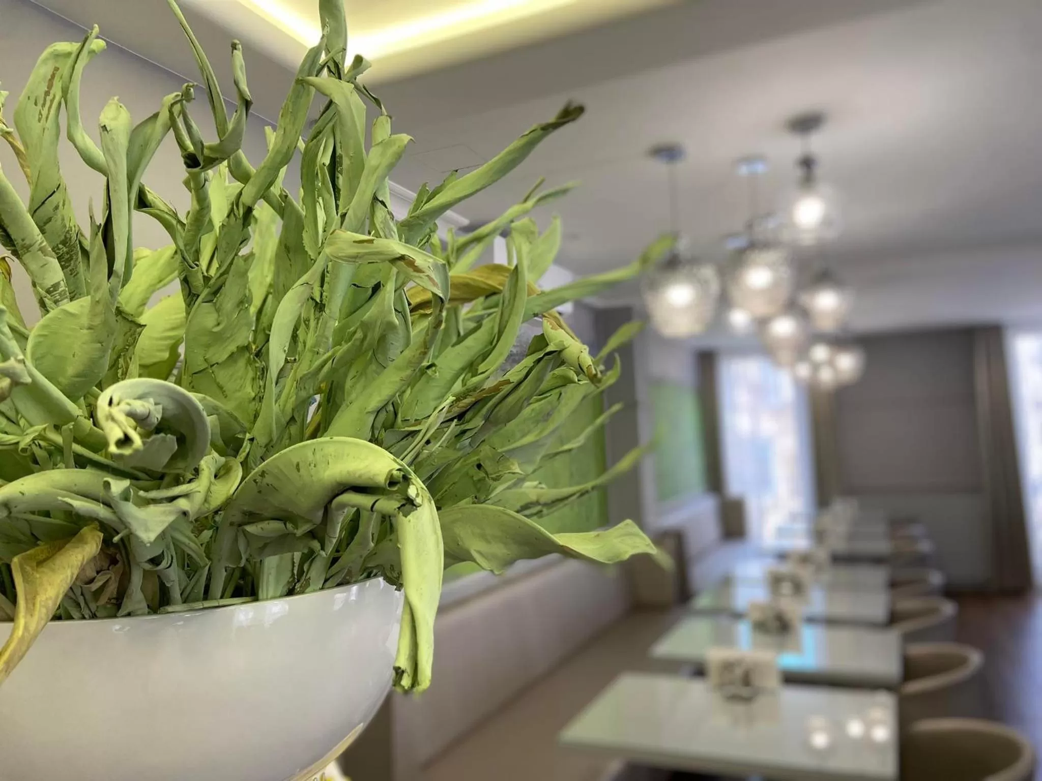 Breakfast in Boutique Hotel Center