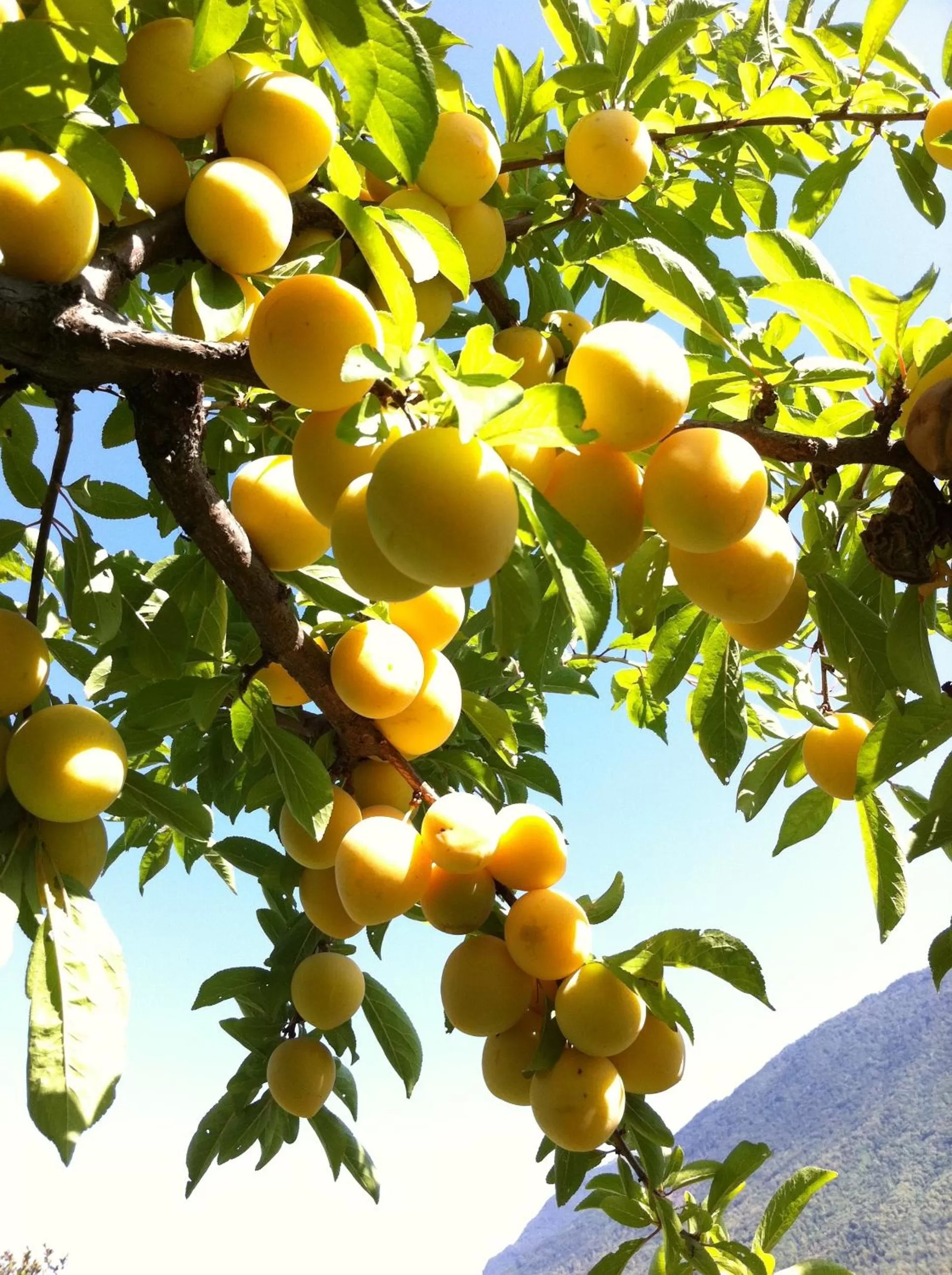 Other in Hotel Concordia