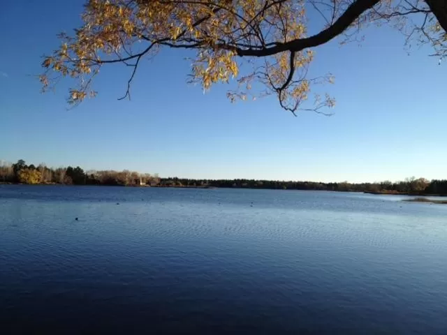 Lake view in Rainbows End Fishing Resort