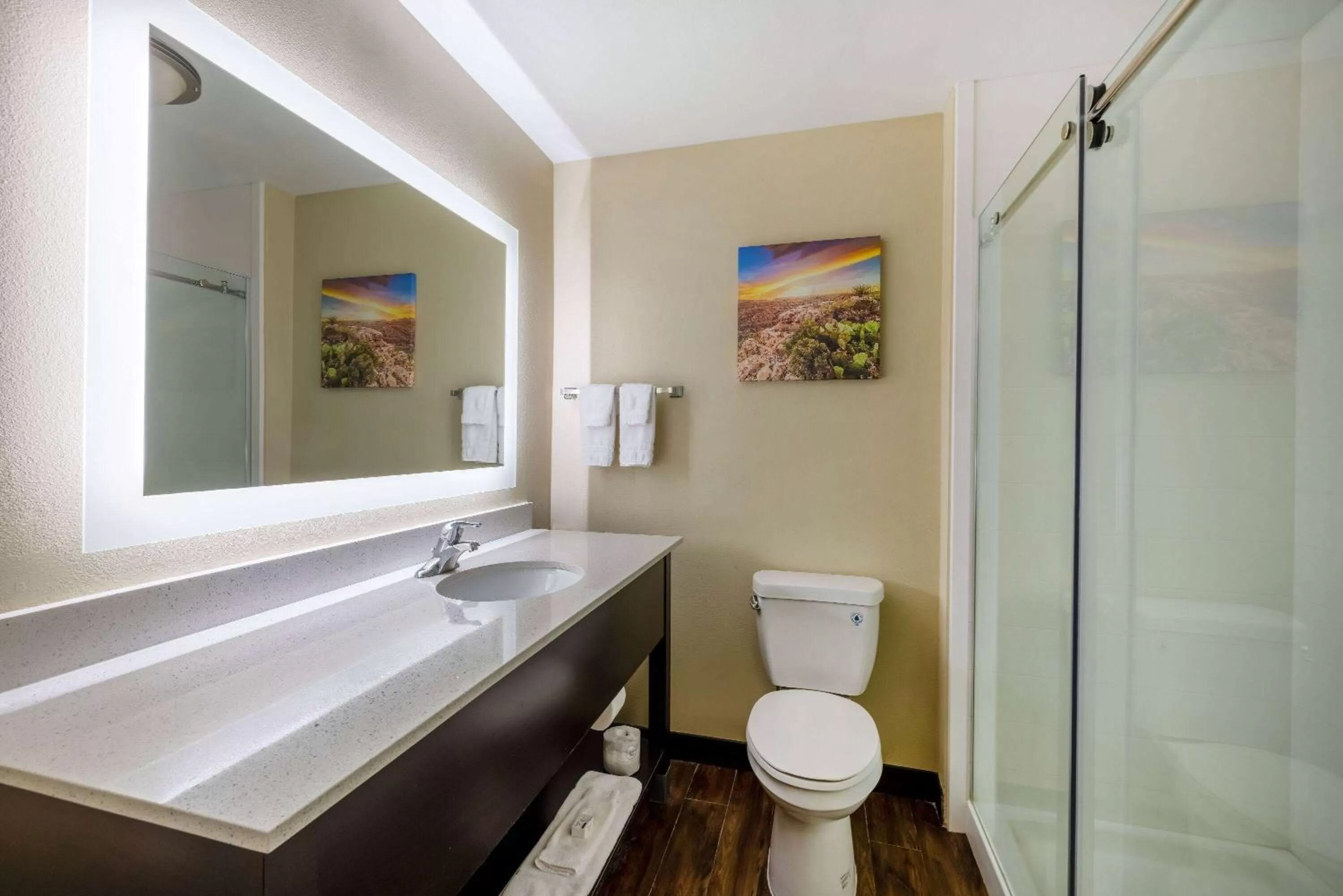 TV and multimedia in La Quinta by Wyndham Artesia