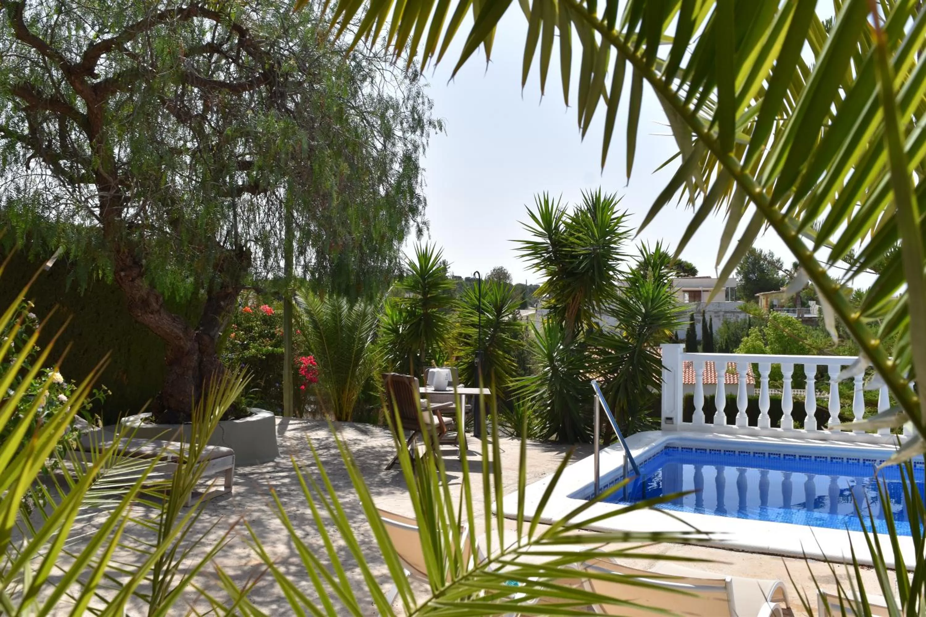 Swimming Pool in Casa Loro Loco B&B