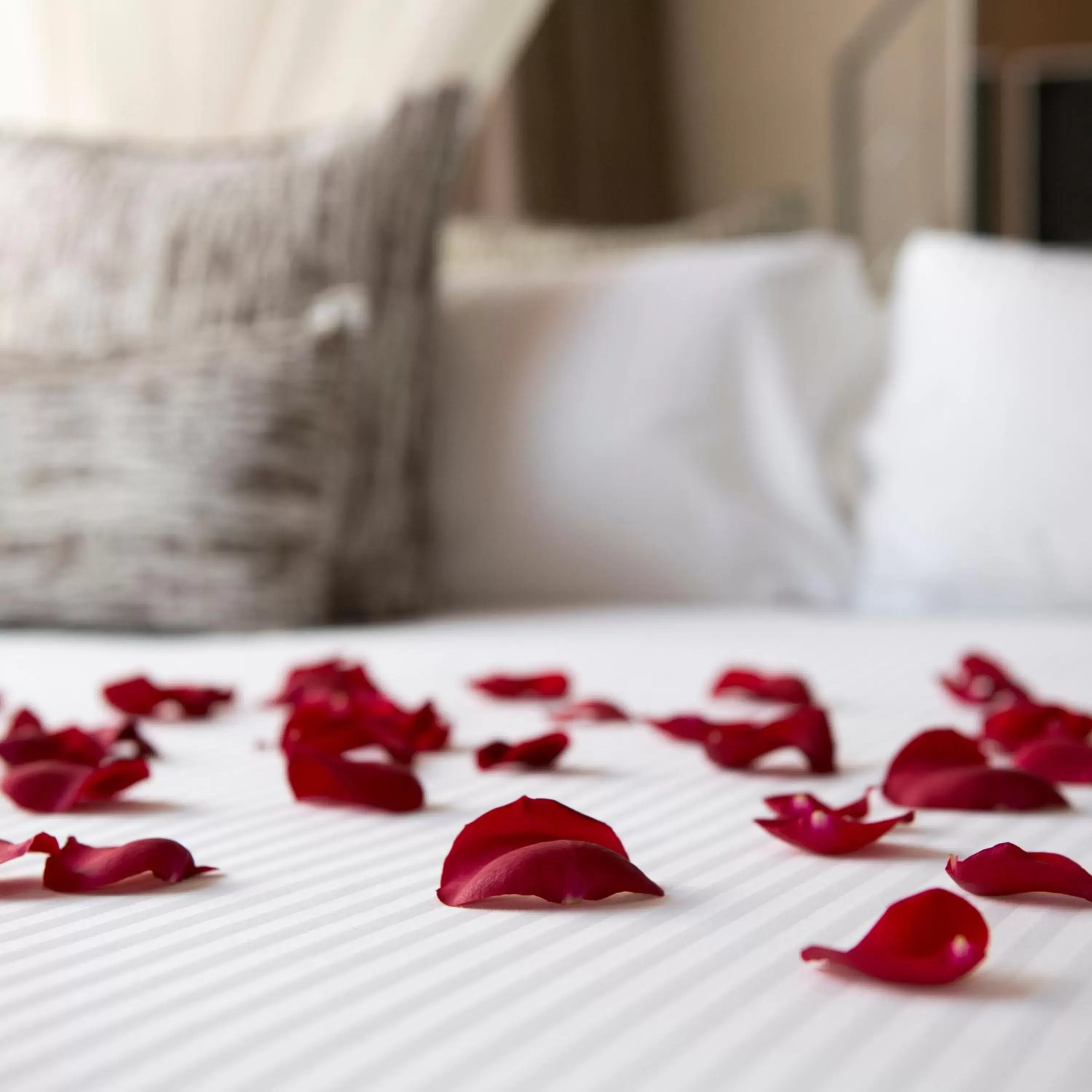 Romantic Offer - Double Room in Hotel Museu Llegendes de Girona Romantic Offer - Double Room in Hotel Museu Llegendes de Girona