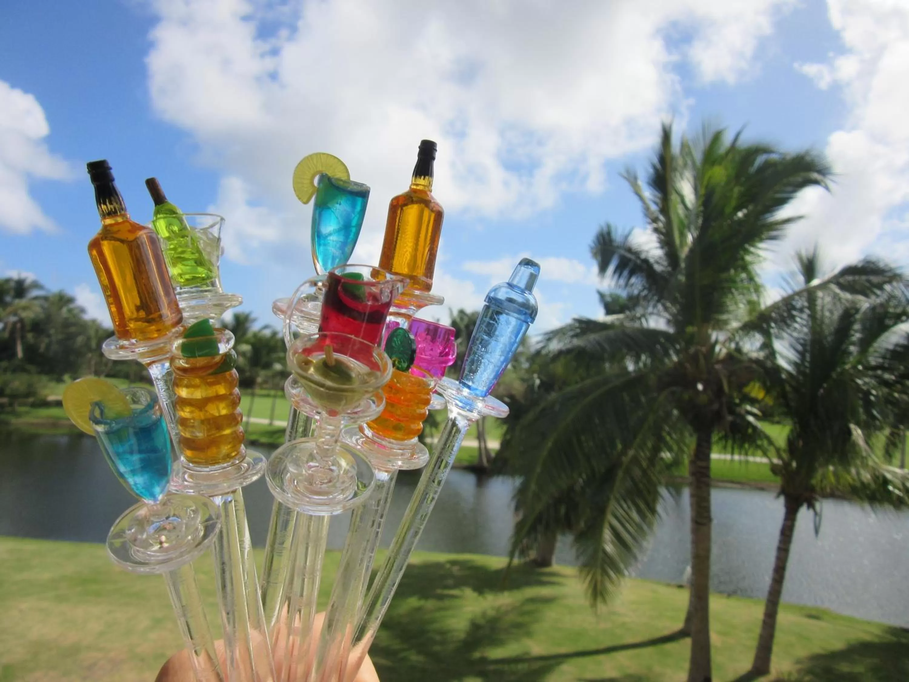 Coral Village - "Caribbean Cocktails" Deluxe Suites & Pool