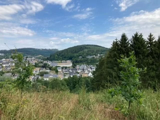 Area and facilities in Bed & Breakfast Weisser Stein