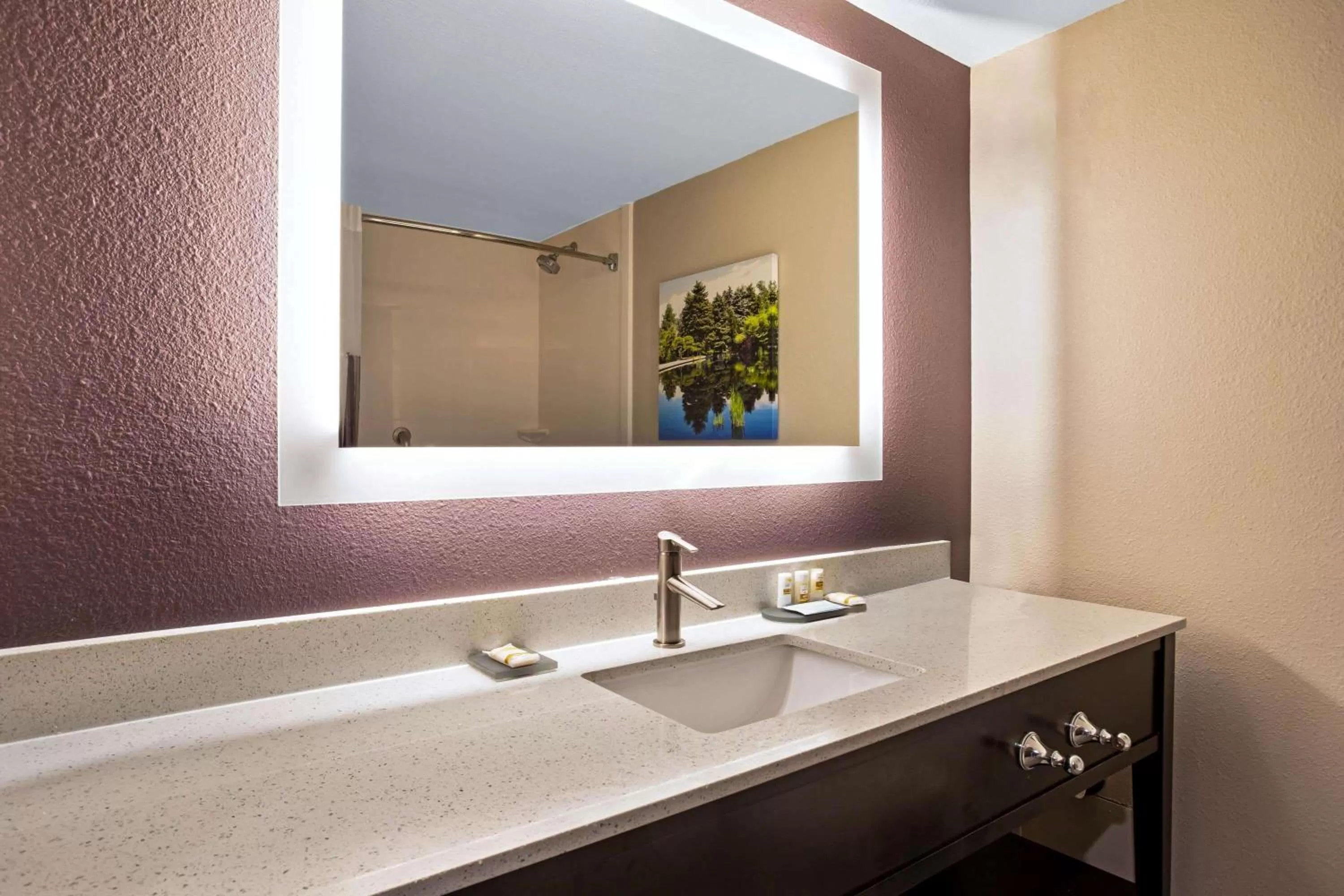 Bathroom in La Quinta Inn & Suites by Wyndham Denver Aurora Medical