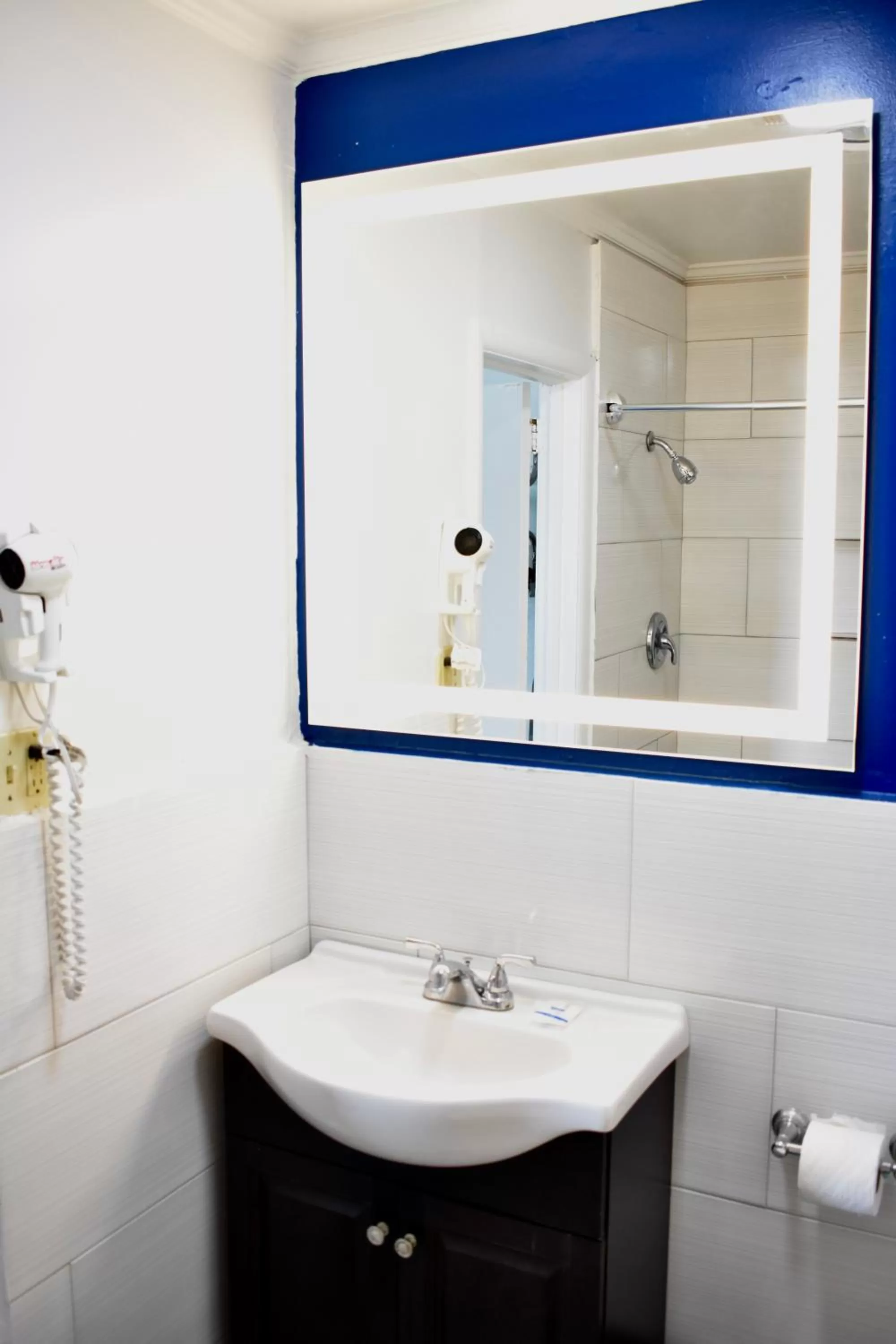 Bathroom in Rodeway Inn Swainsboro