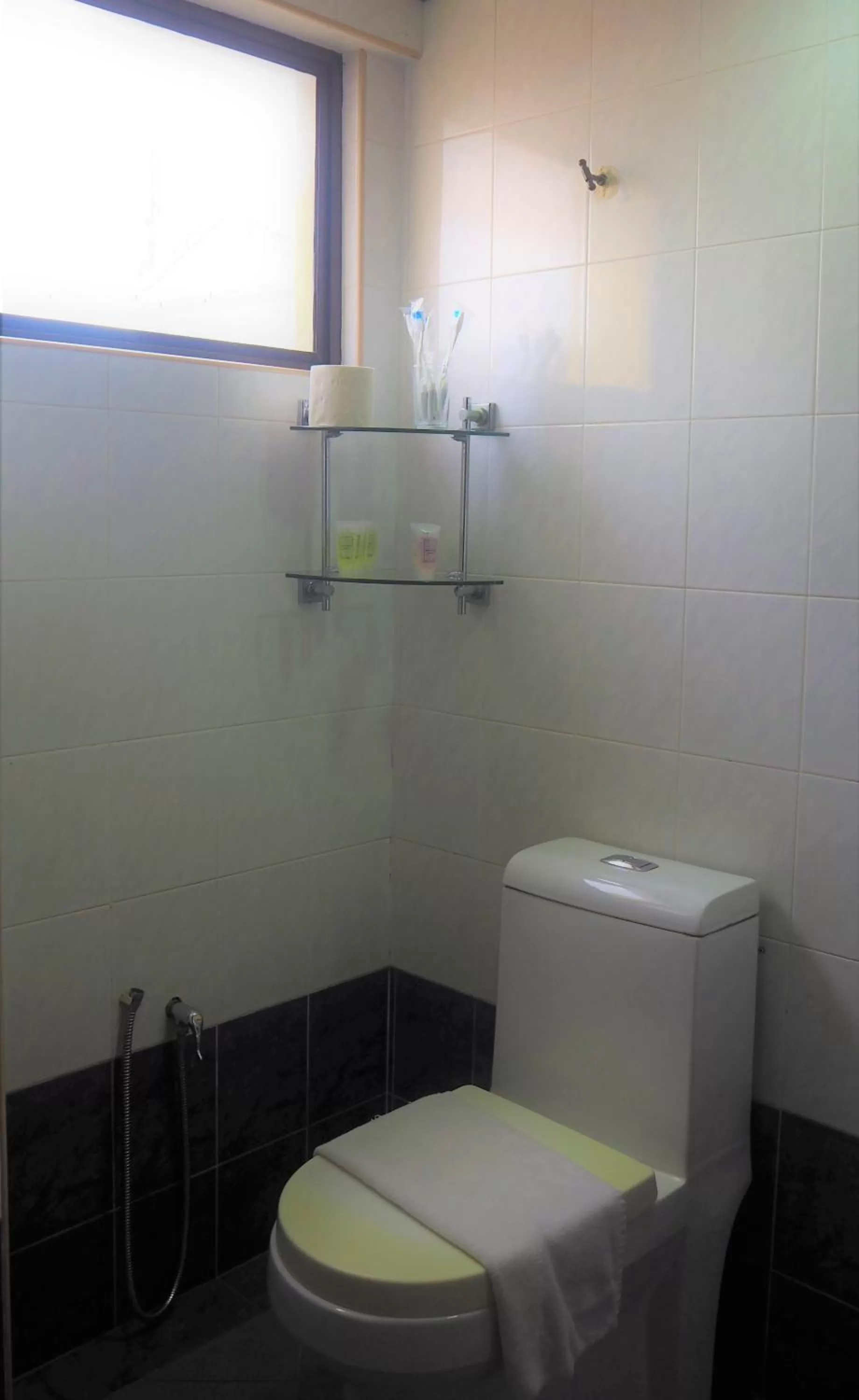 Toilet in Leo Palace Hotel Classic Wing, WTC Kuala Lumpur