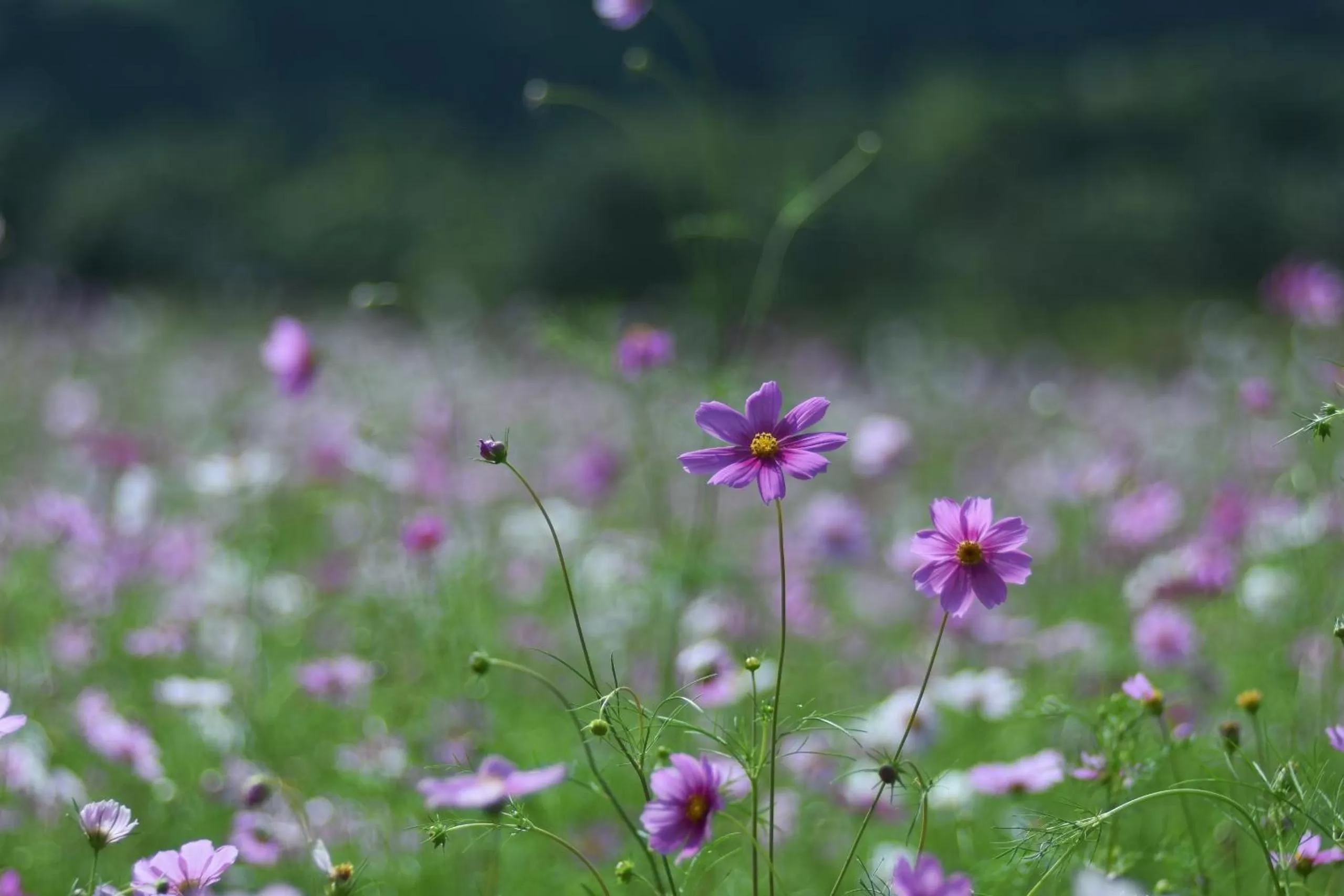 Natural landscape in Thung Nham Resort