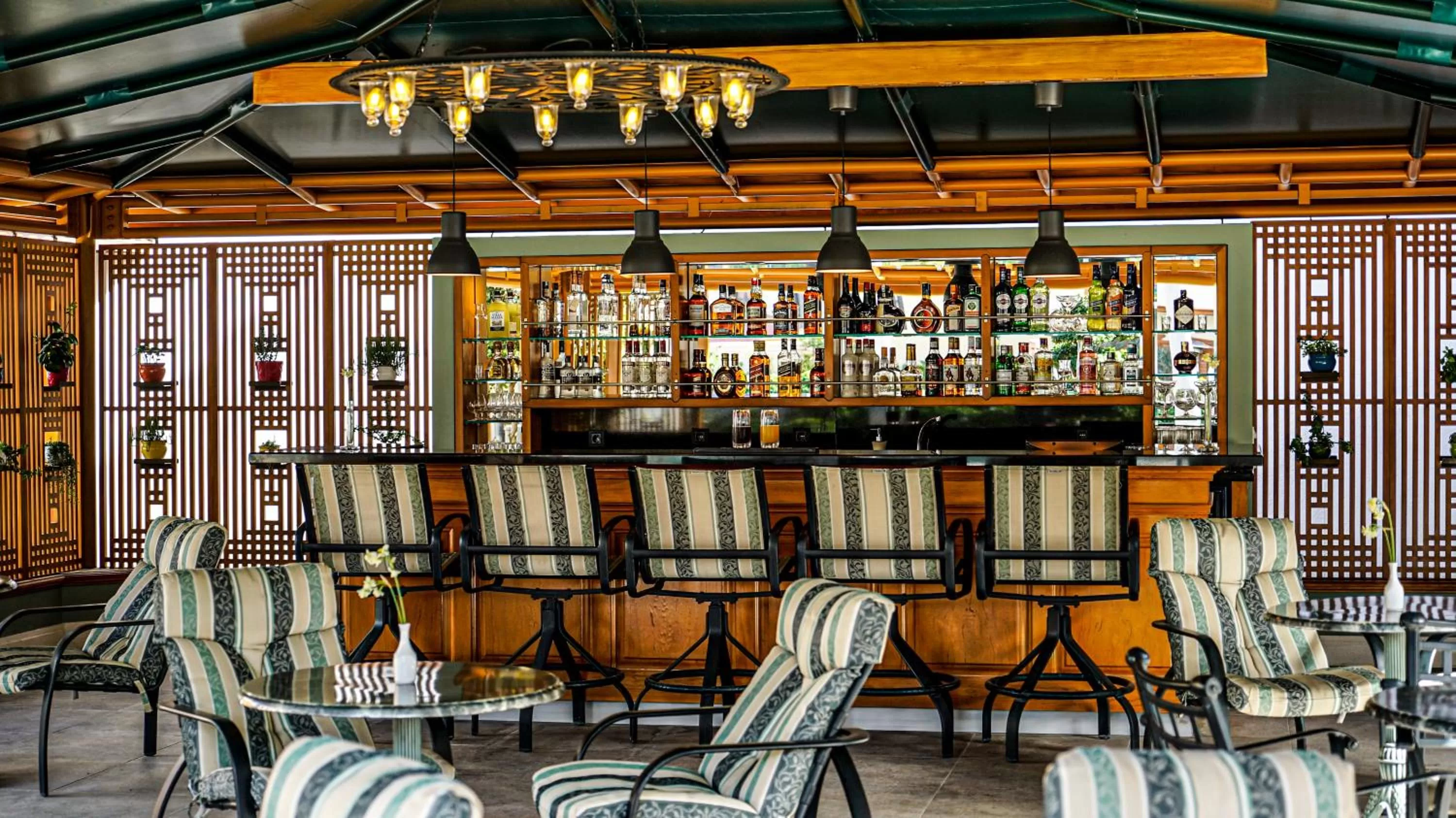 Nightclub / DJ in RuinAdalia Hotel - Adult Only