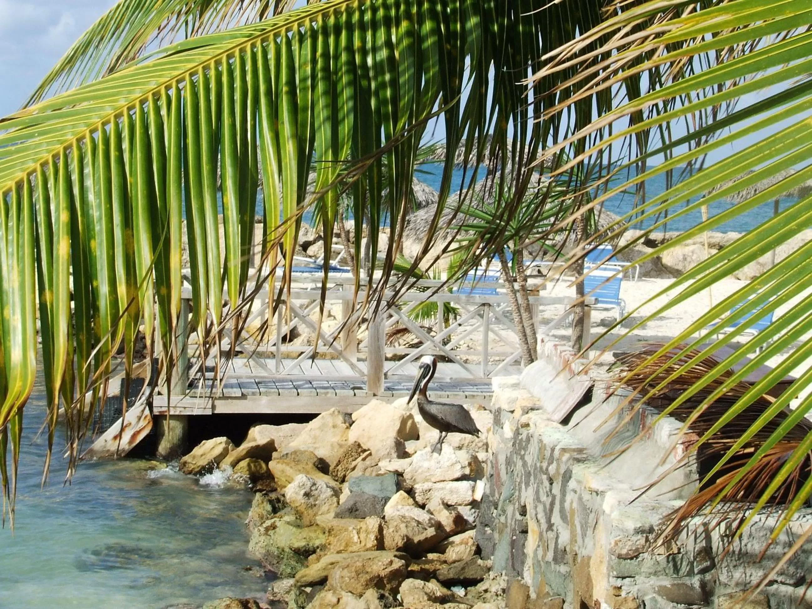 Day, Beach in Northshore Seaside Suites