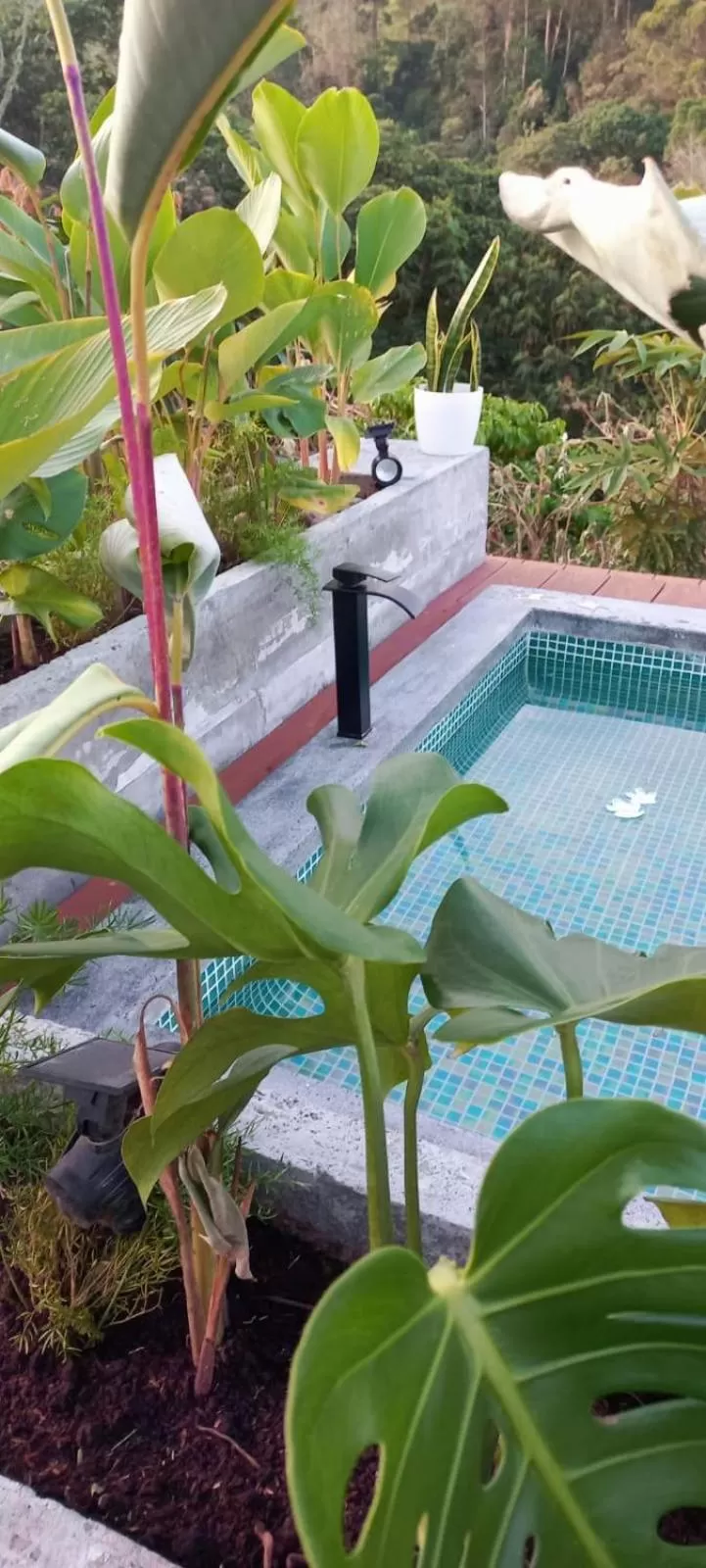 Bath, Swimming Pool in Ecohotel Monte Tierra Habitaciones y Glamping