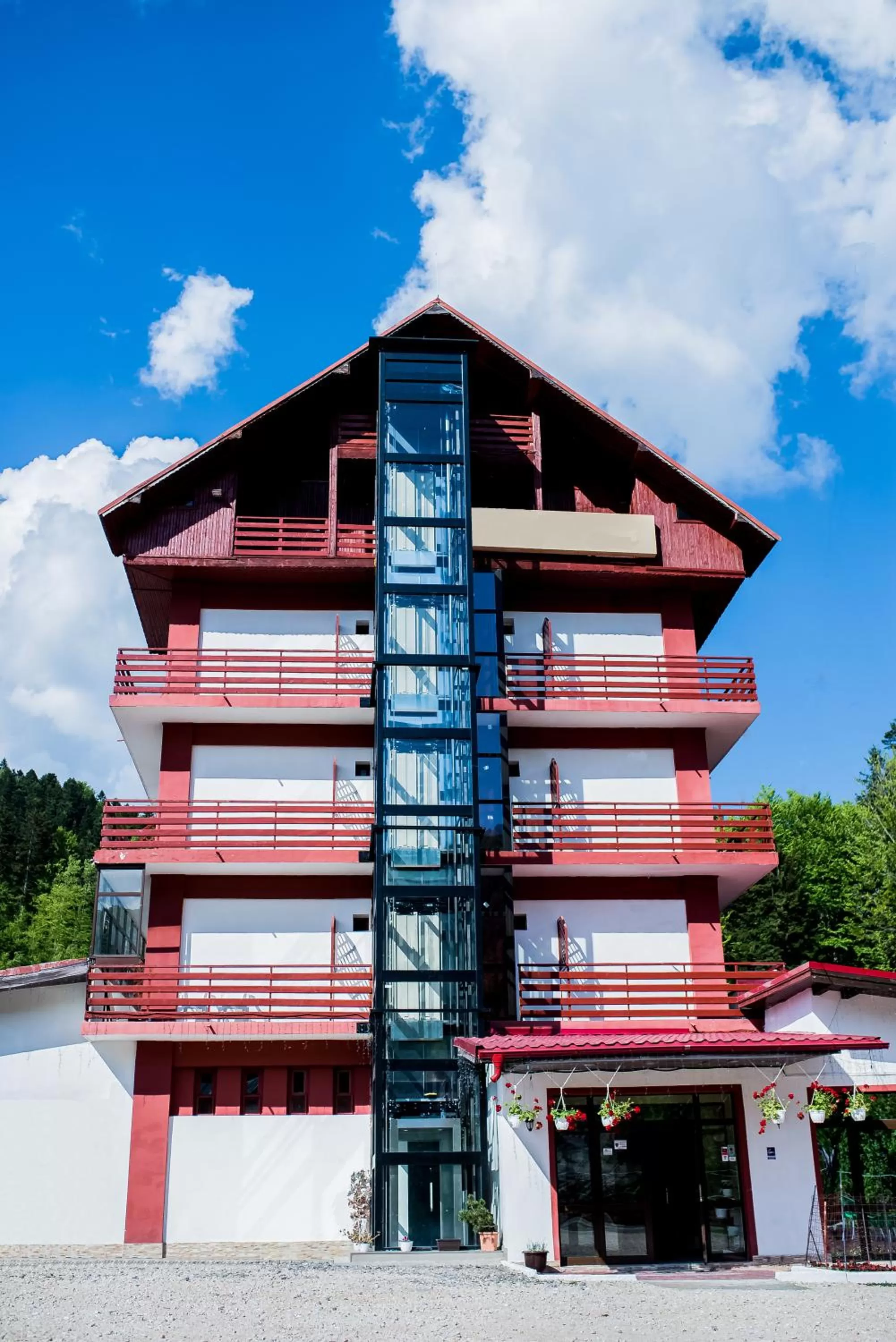 Facade/entrance, Property Building in Hotel Pin Azuga