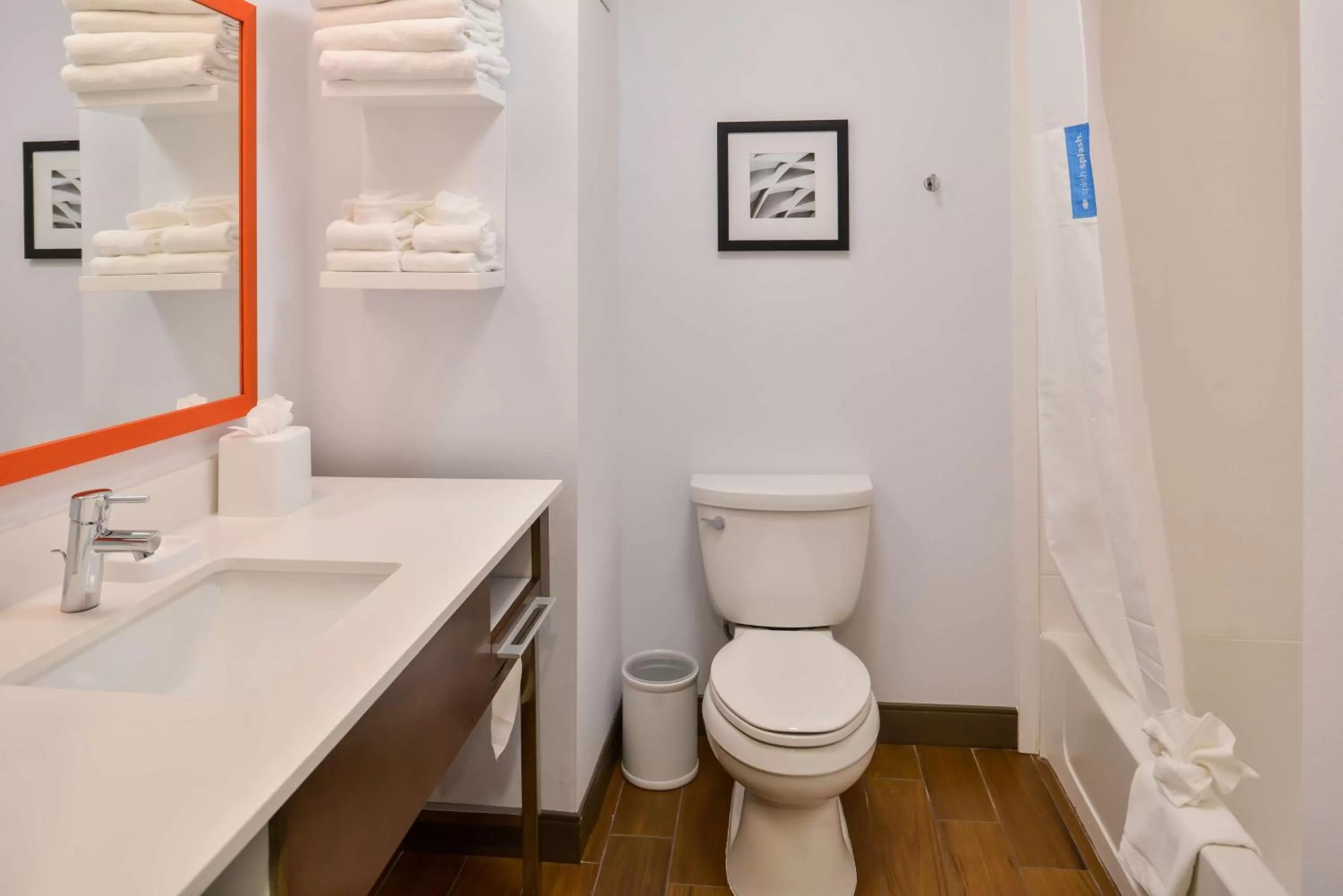 Bathroom in Hampton Inn Statesville