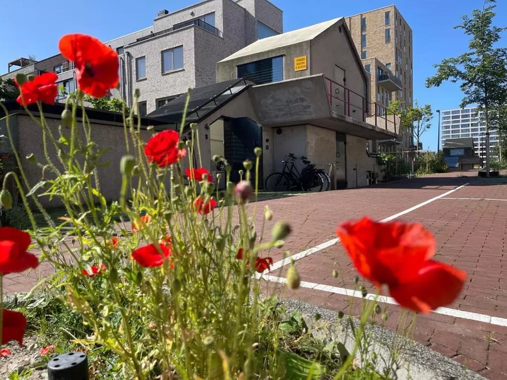 Garden, Property Building in vondice hotel