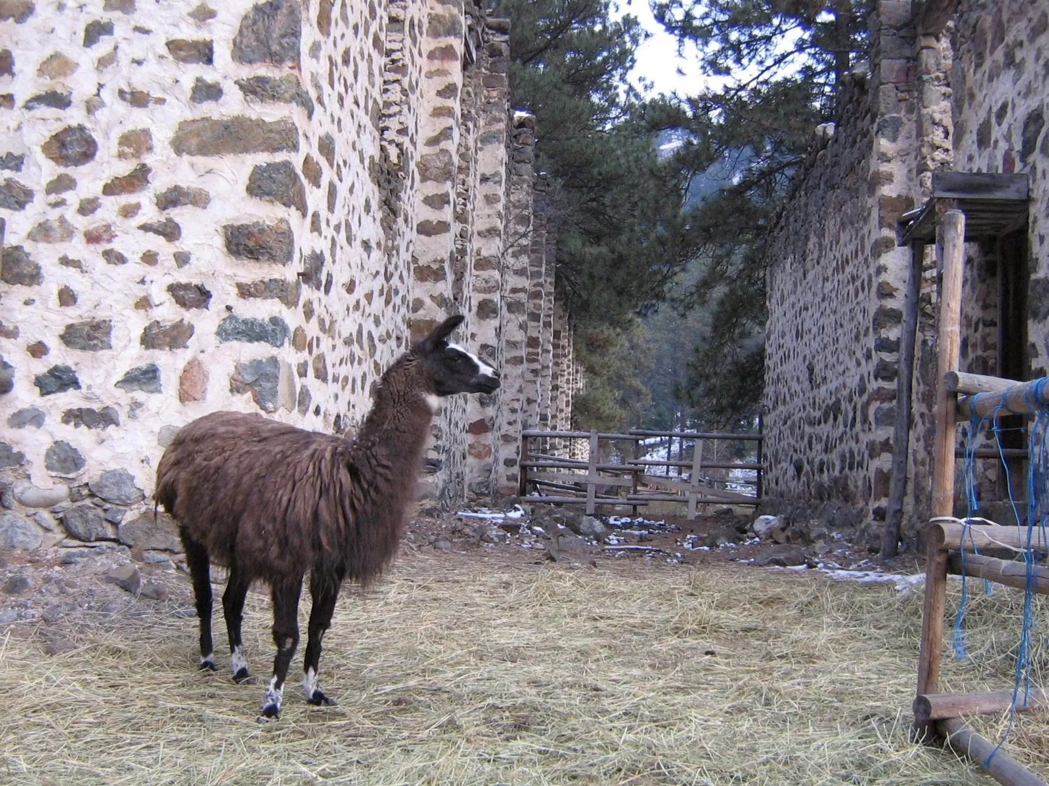 Facade/entrance, Other Animals in Rainbow Lake Castle Resort
