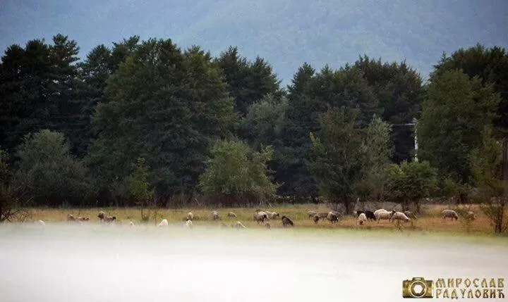 Bed and Breakfast Family Djukic