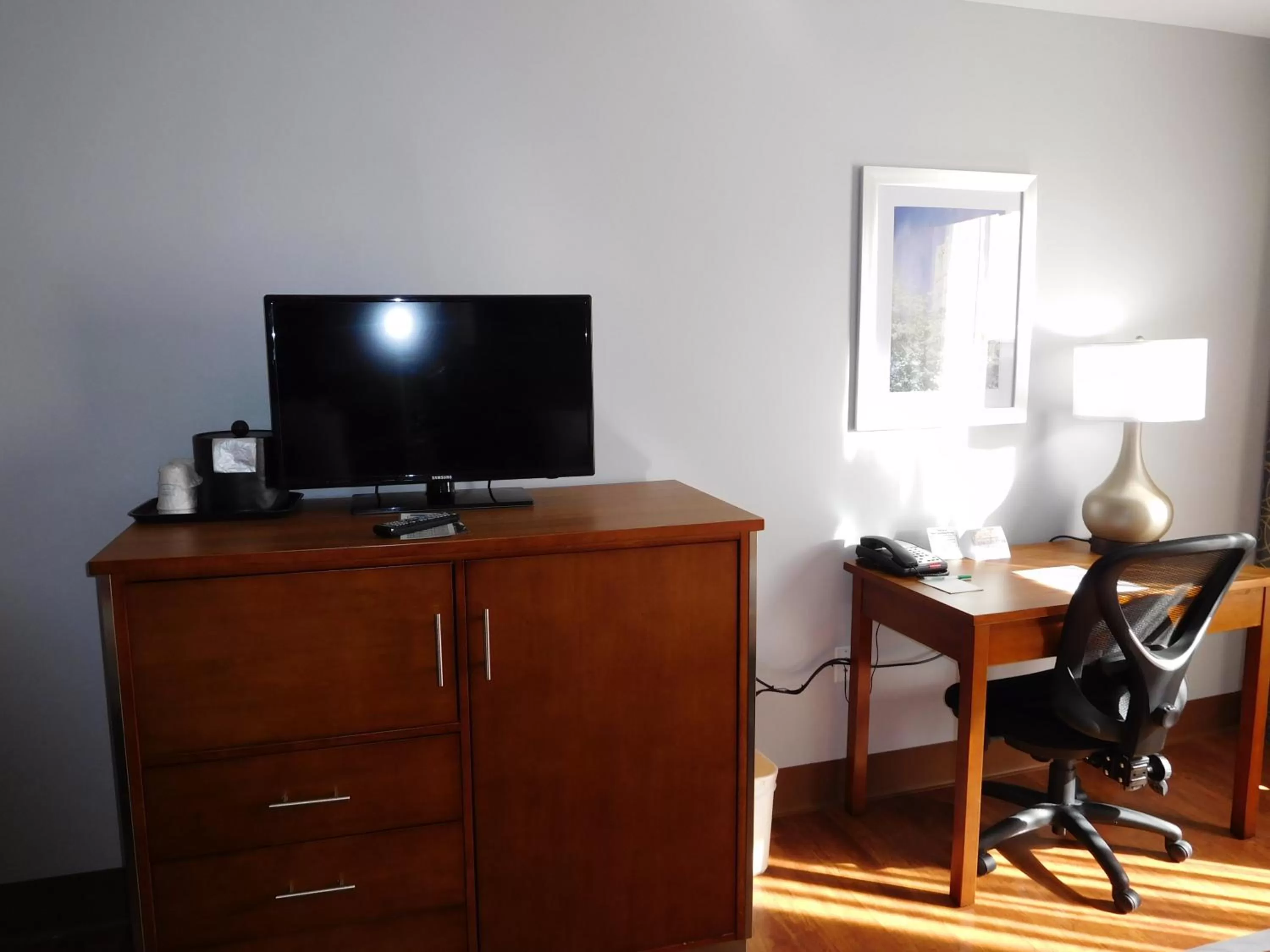 Living room in Wyndham Garden Greensboro