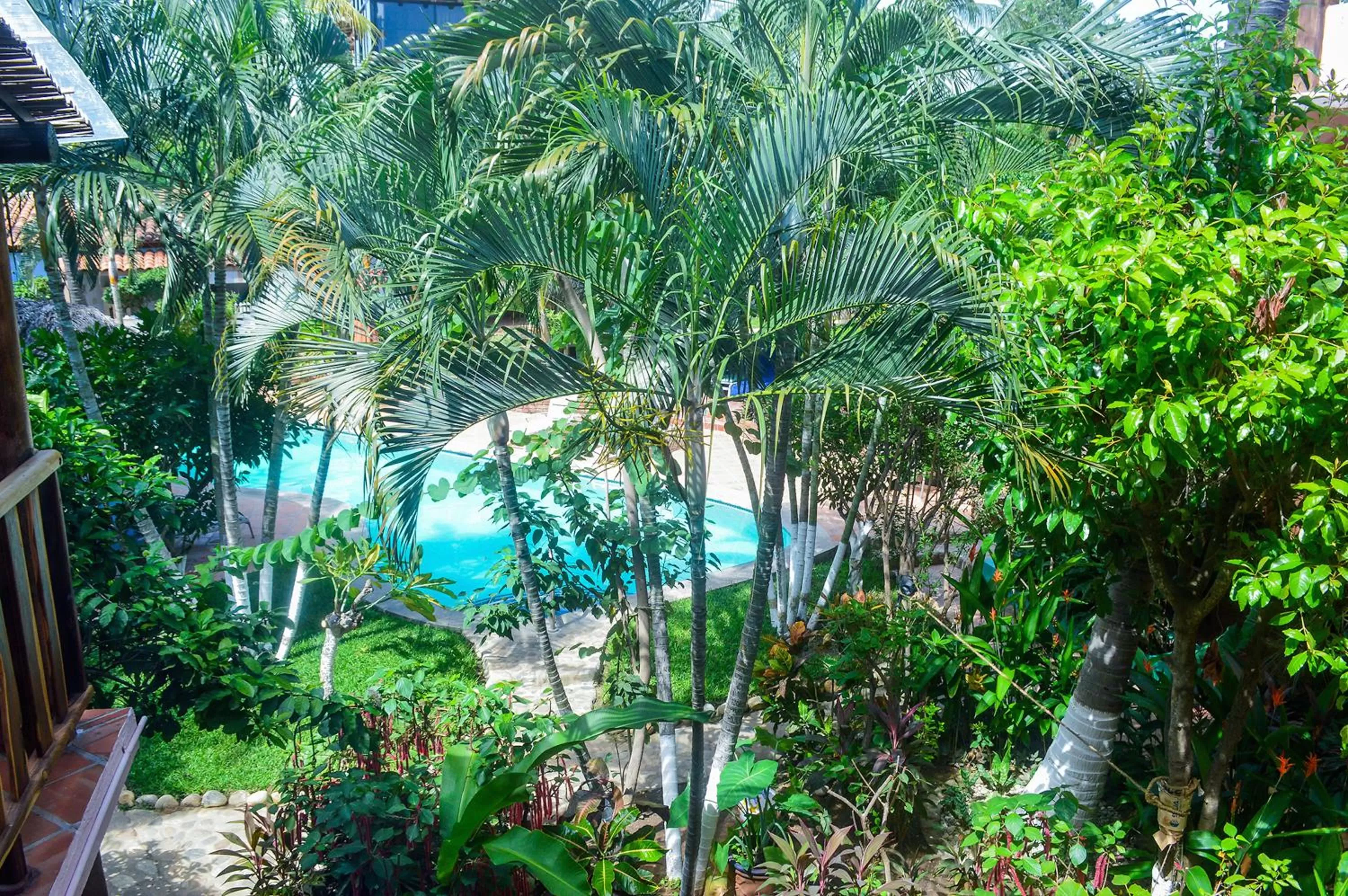 Garden view in Hotel Casamar Suites
