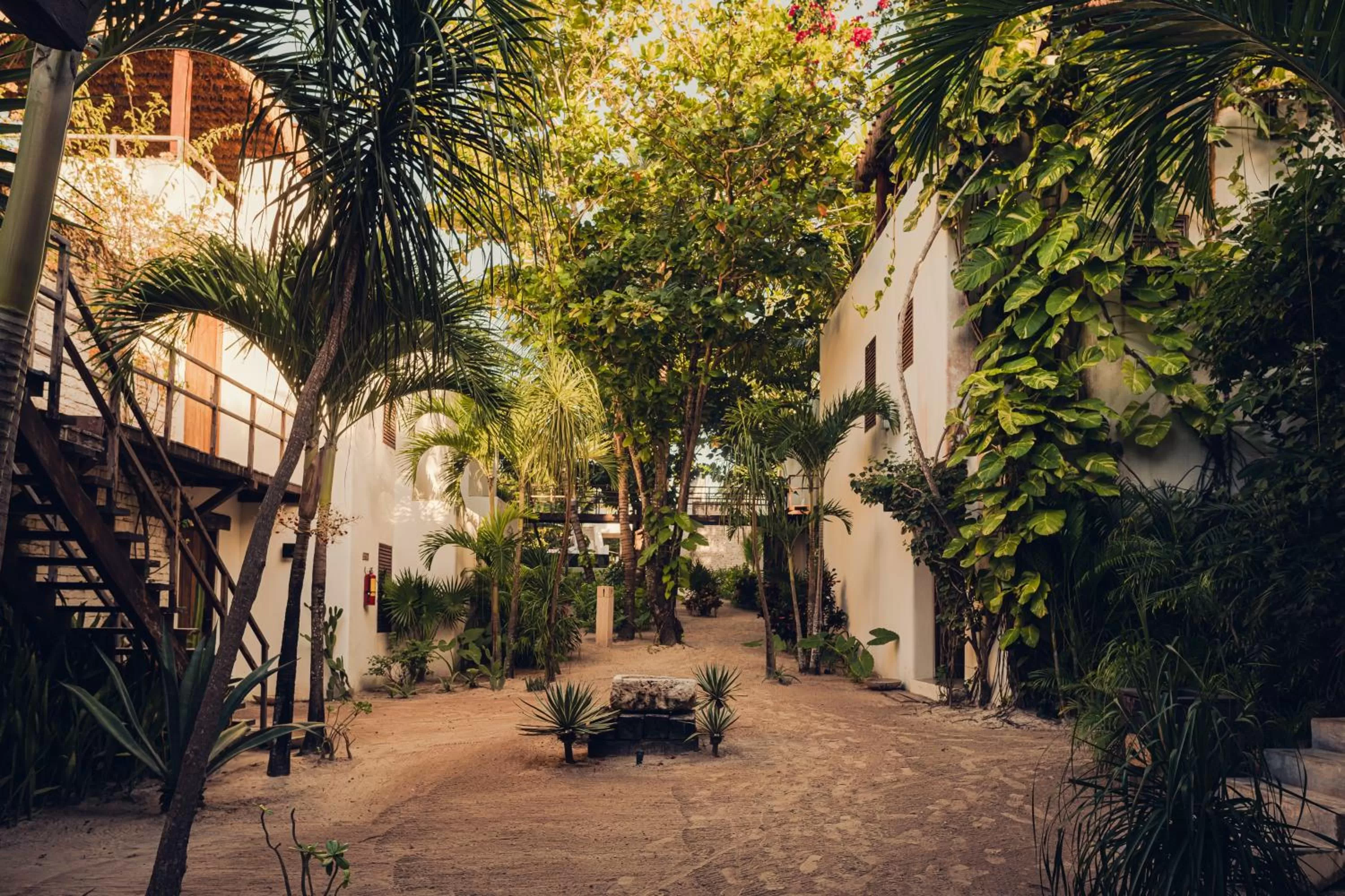 Beach in Chiringuito Tulum