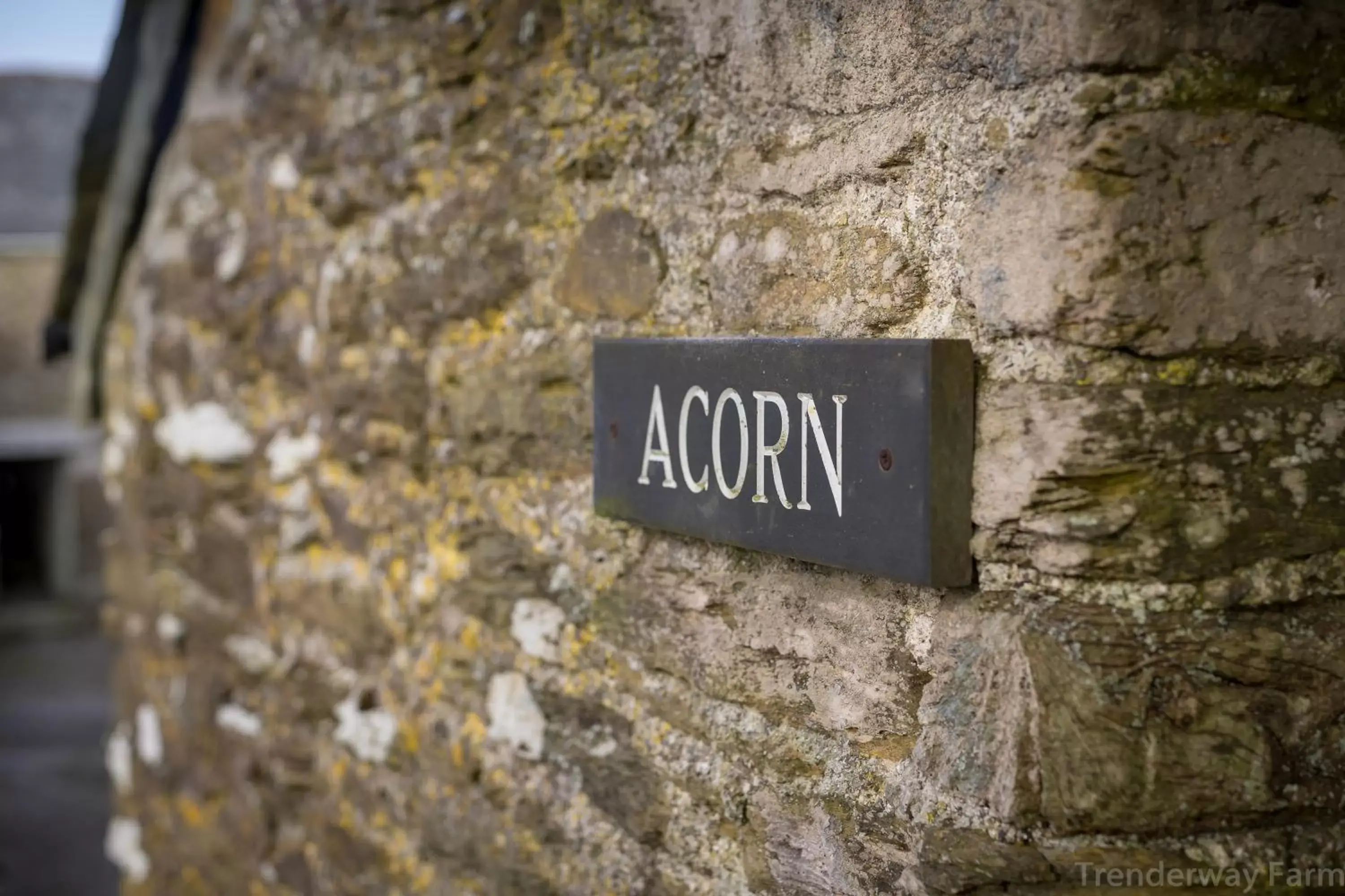 Double Room - Dog Friendly in Trenderway Farm Double Room - Dog Friendly in Trenderway Farm