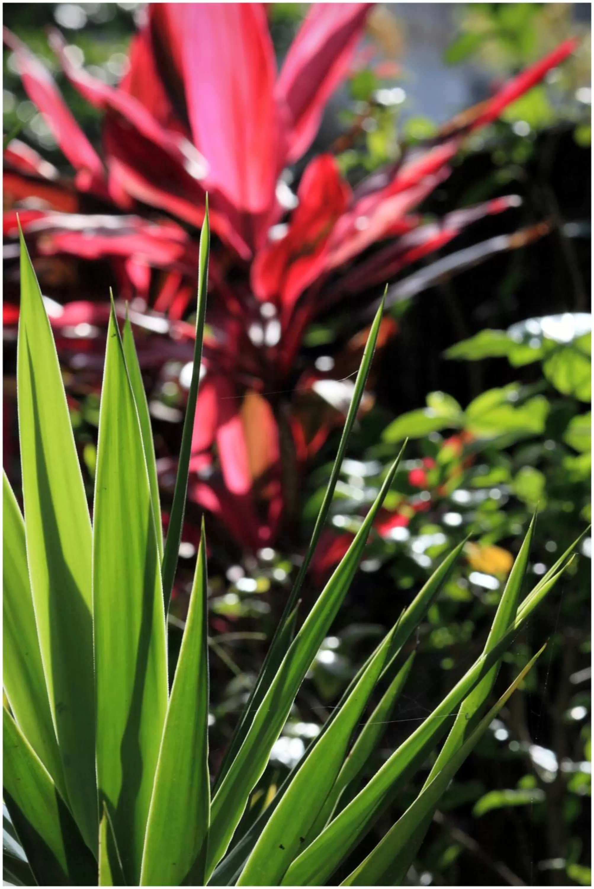 Decorative detail in Errantry Lodge & Studio