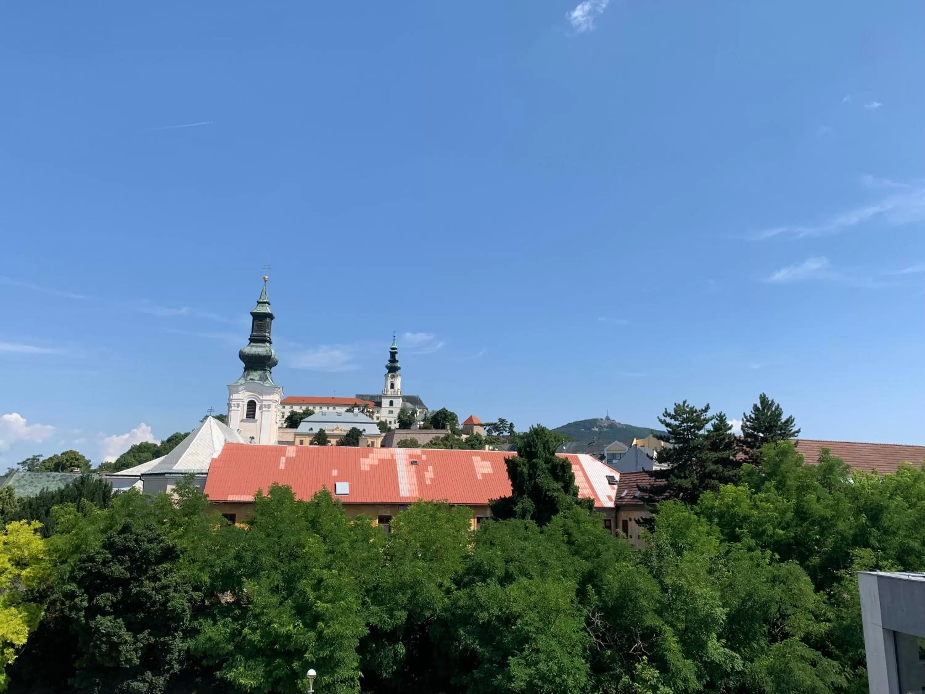 Mountain view in Hotel Alexander's
