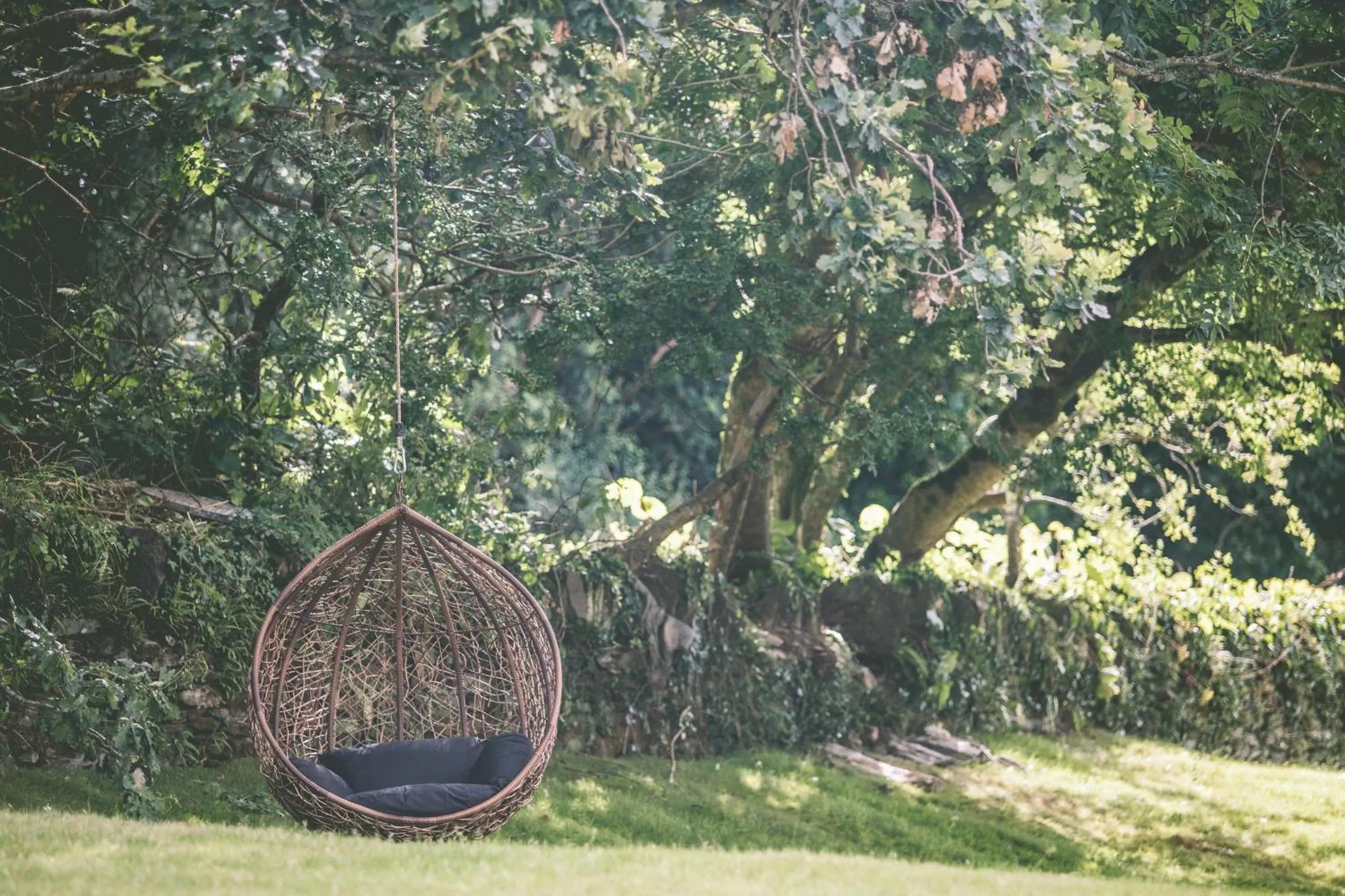 Boringdon Hall Hotel and Spa