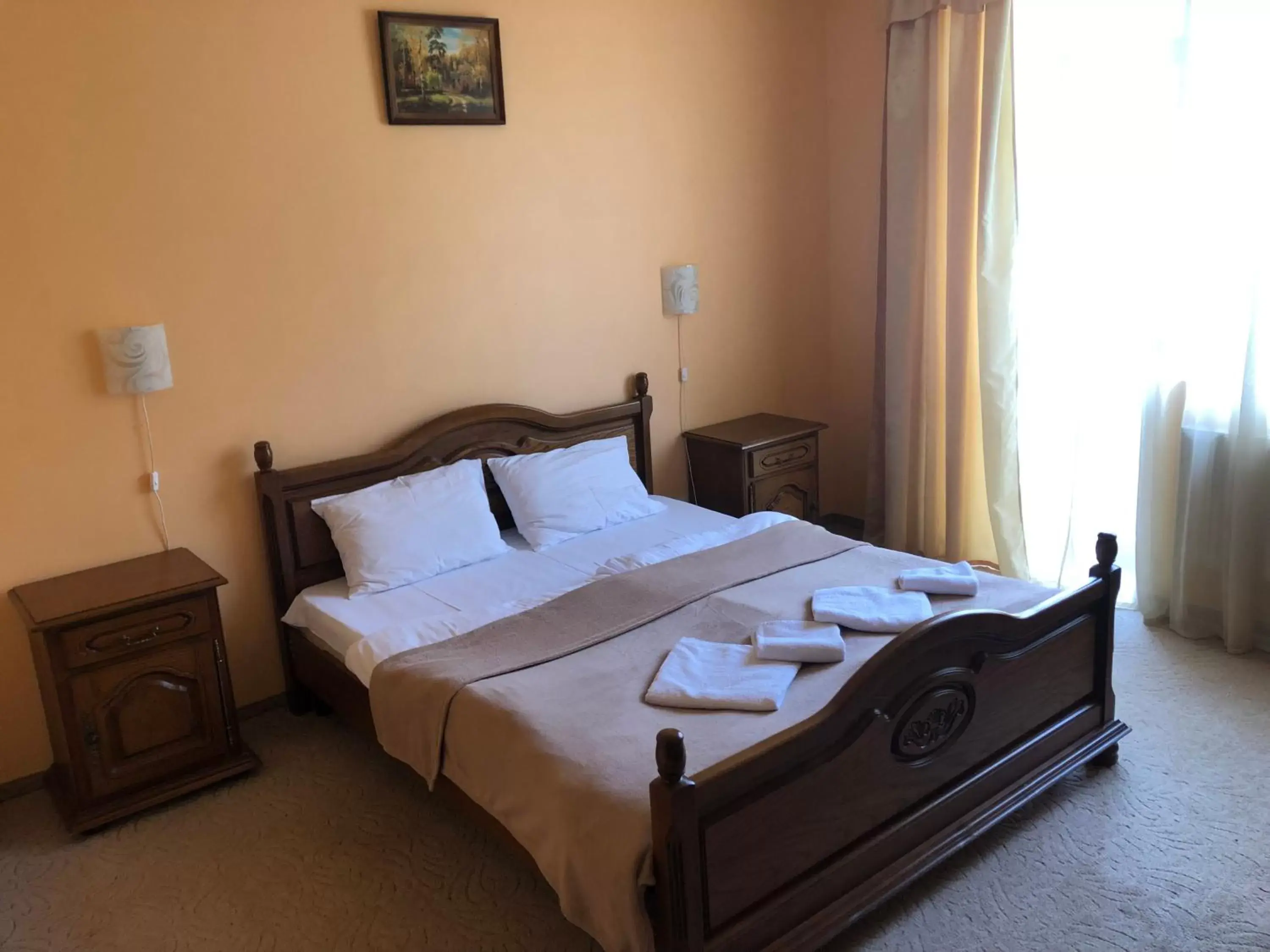 Double Room in Chervona Gora Double Room in Chervona Gora