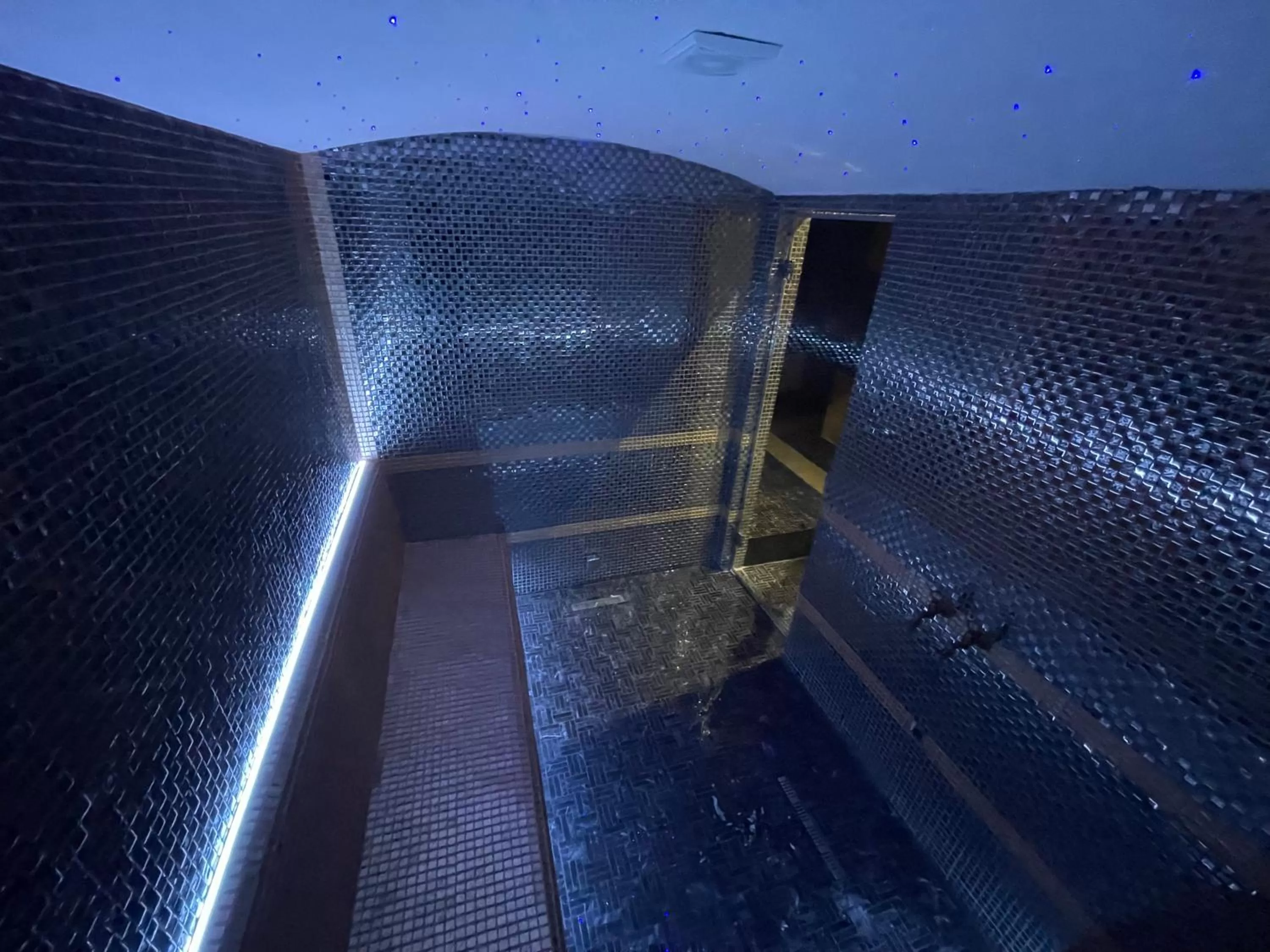 Spa and wellness centre/facilities, Swimming Pool in Deluxe Resort and SPA