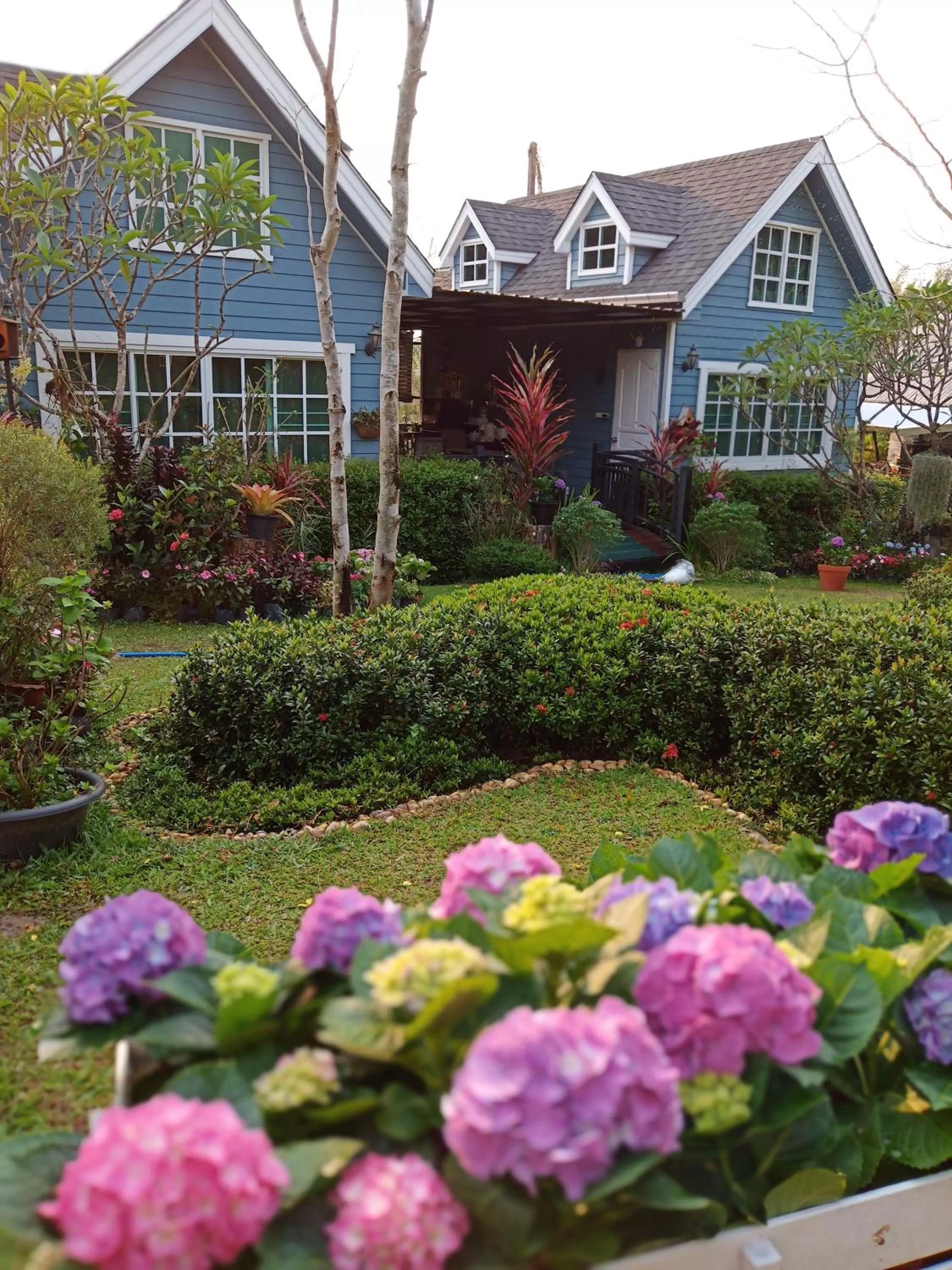 Baan JaoKorKluay บ้านเจ้ากอกล้วย