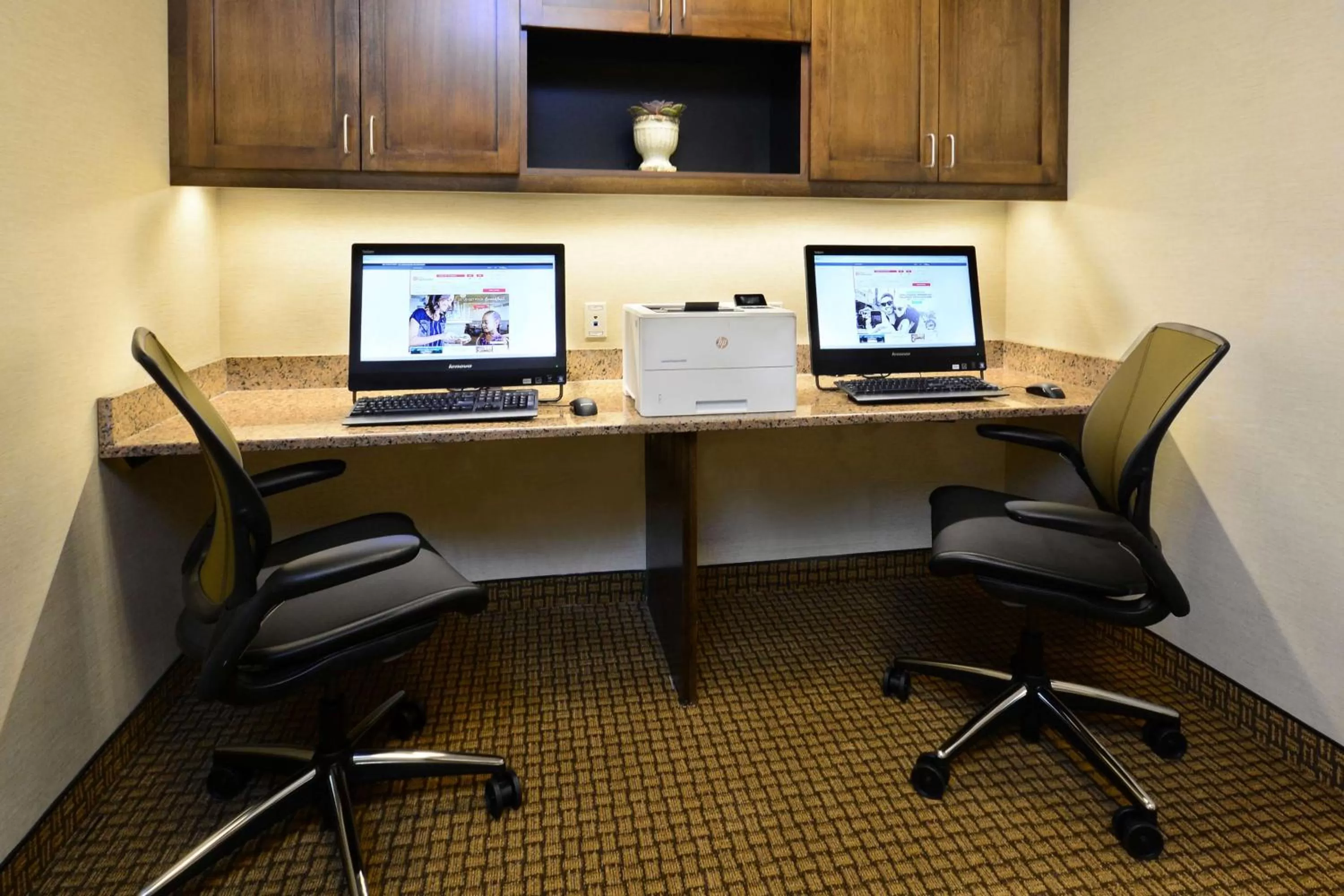 Business facilities in Hilton Garden Inn Greensboro Airport