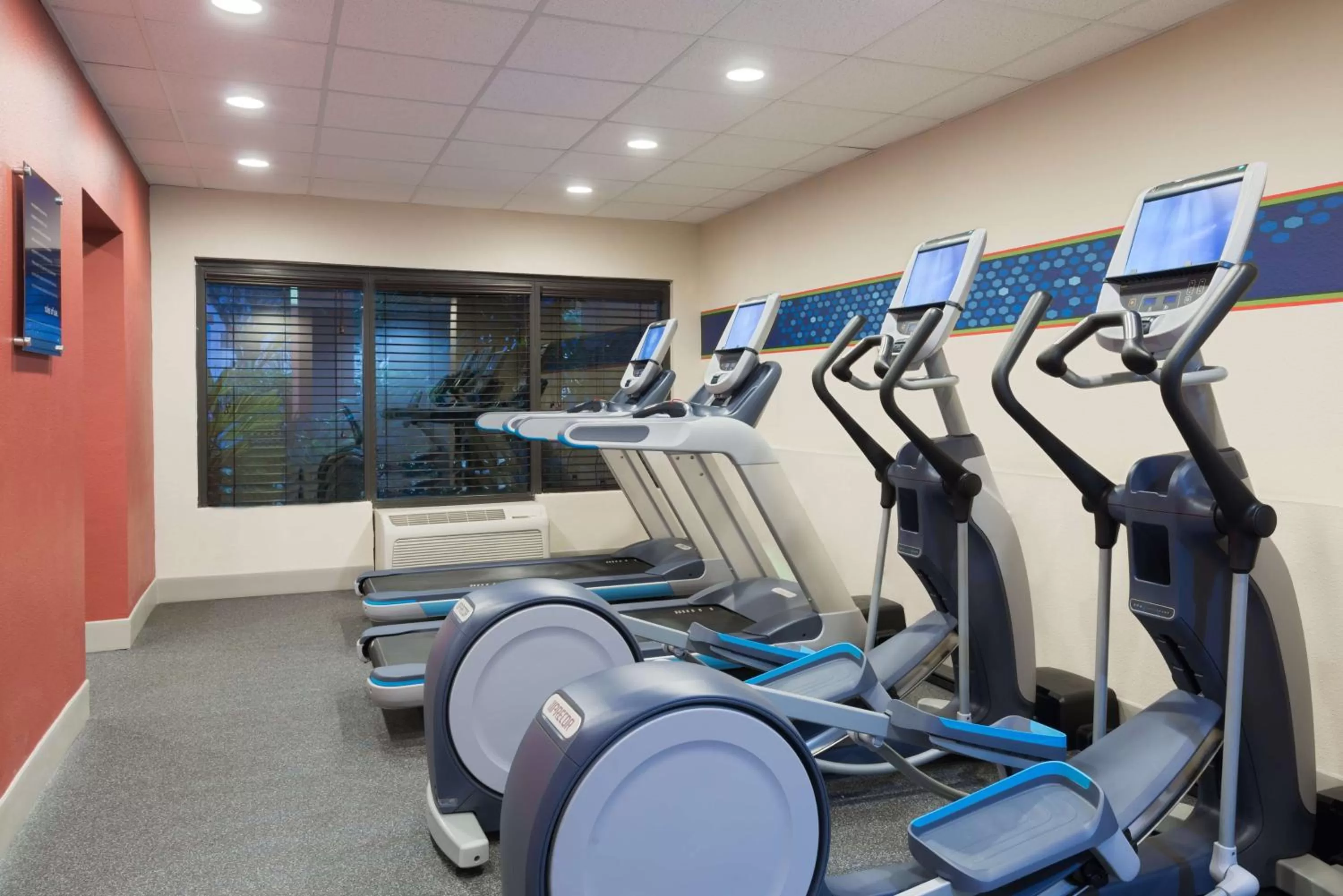 Fitness centre/facilities in Hampton Inn Ellenton/Bradenton