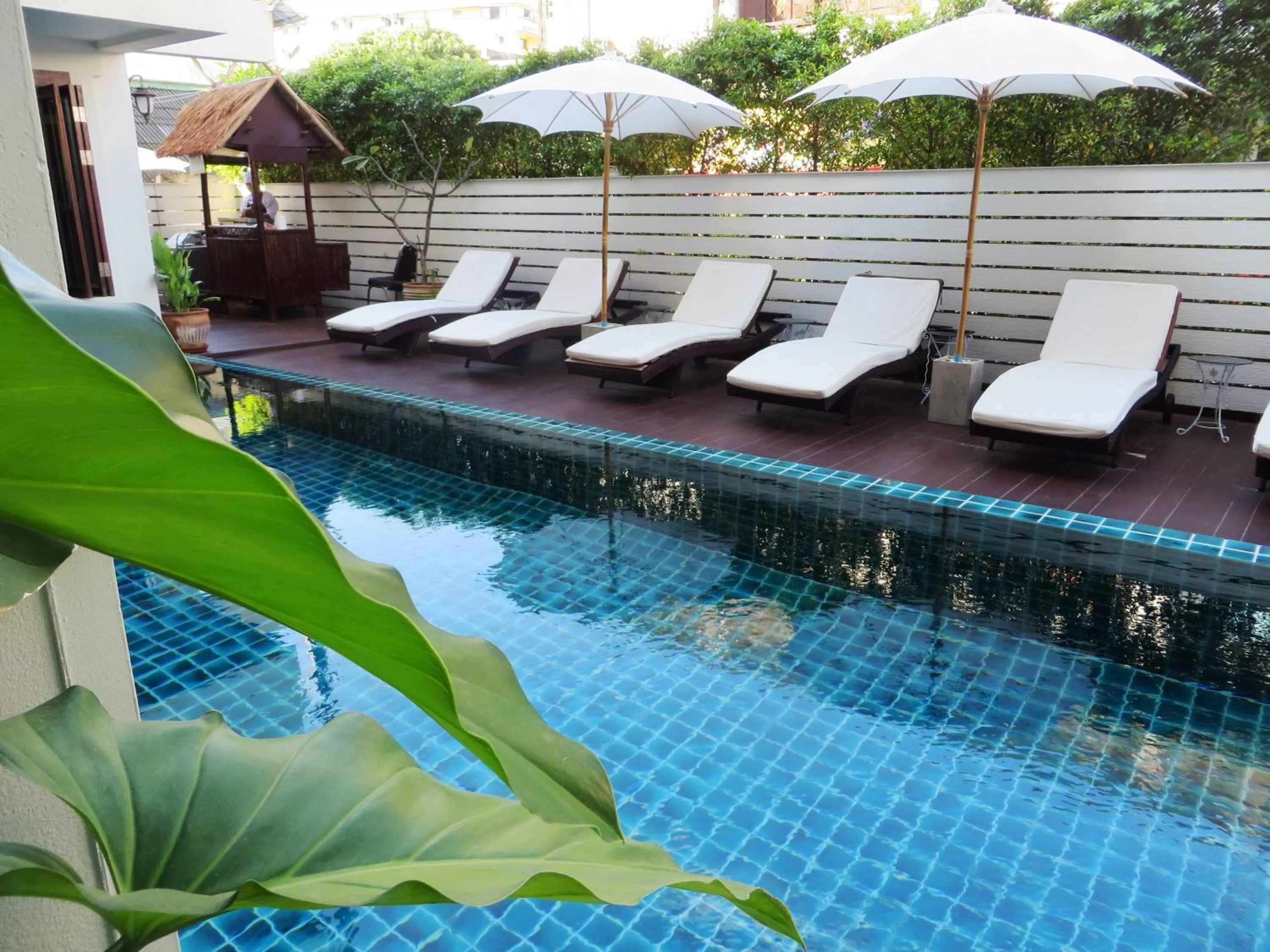 Swimming pool in Goldenbell Hotel Chiangmai