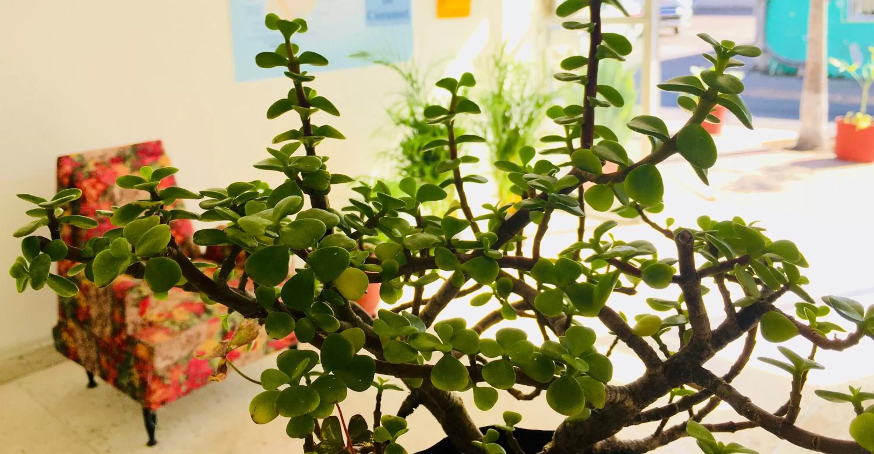 Lobby or reception in Hotel Posada Edem