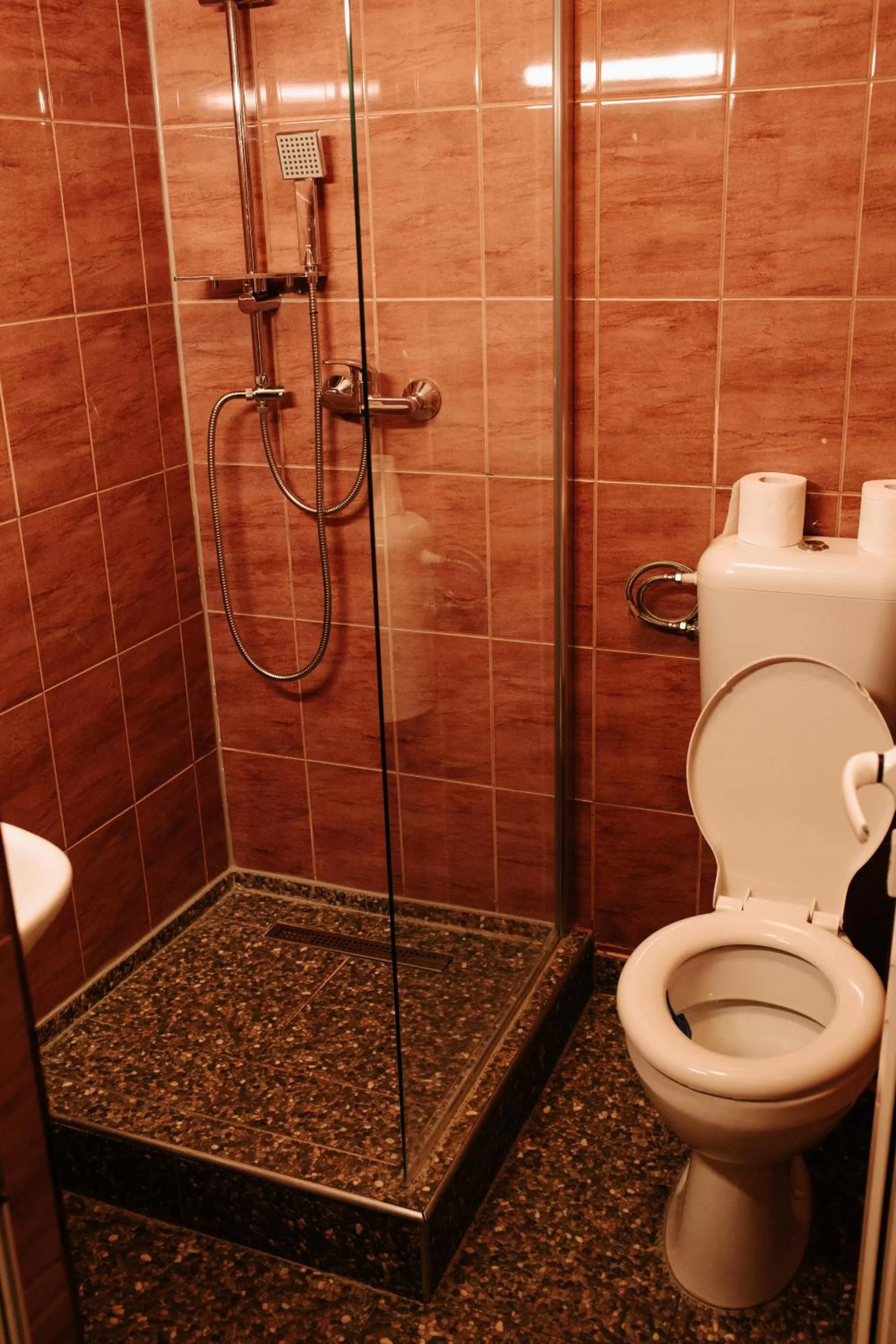 Shower, Bathroom in Pensiunea Pictorilor