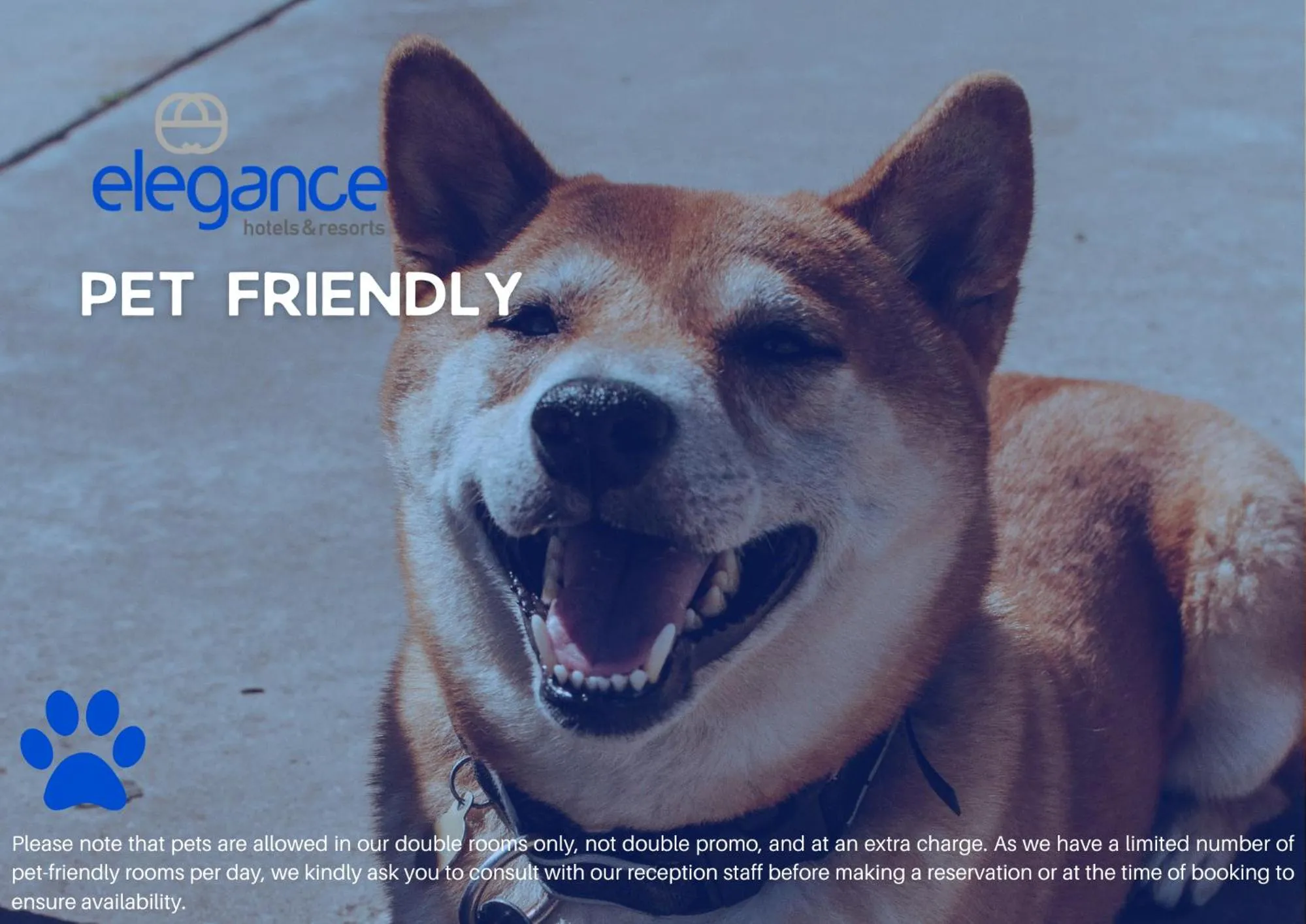 Double or Twin Room - single occupancy in Blu Hostal Diana