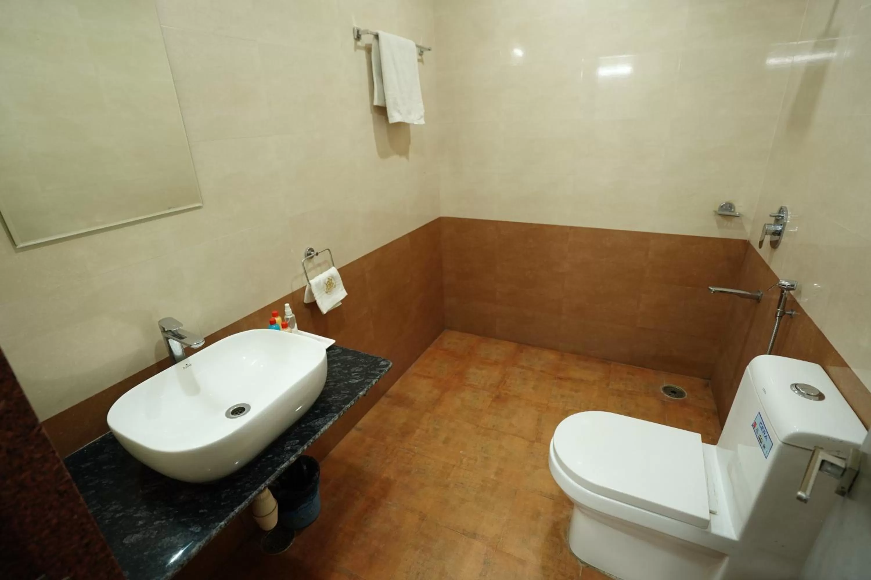 Shower in Hotel Silver Cloud