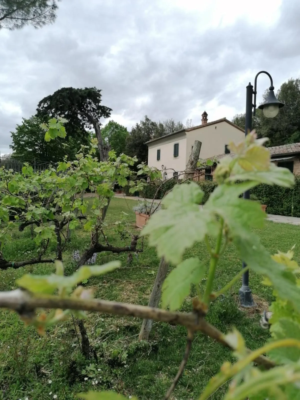 View (from property/room) in Cortona Resort & Spa