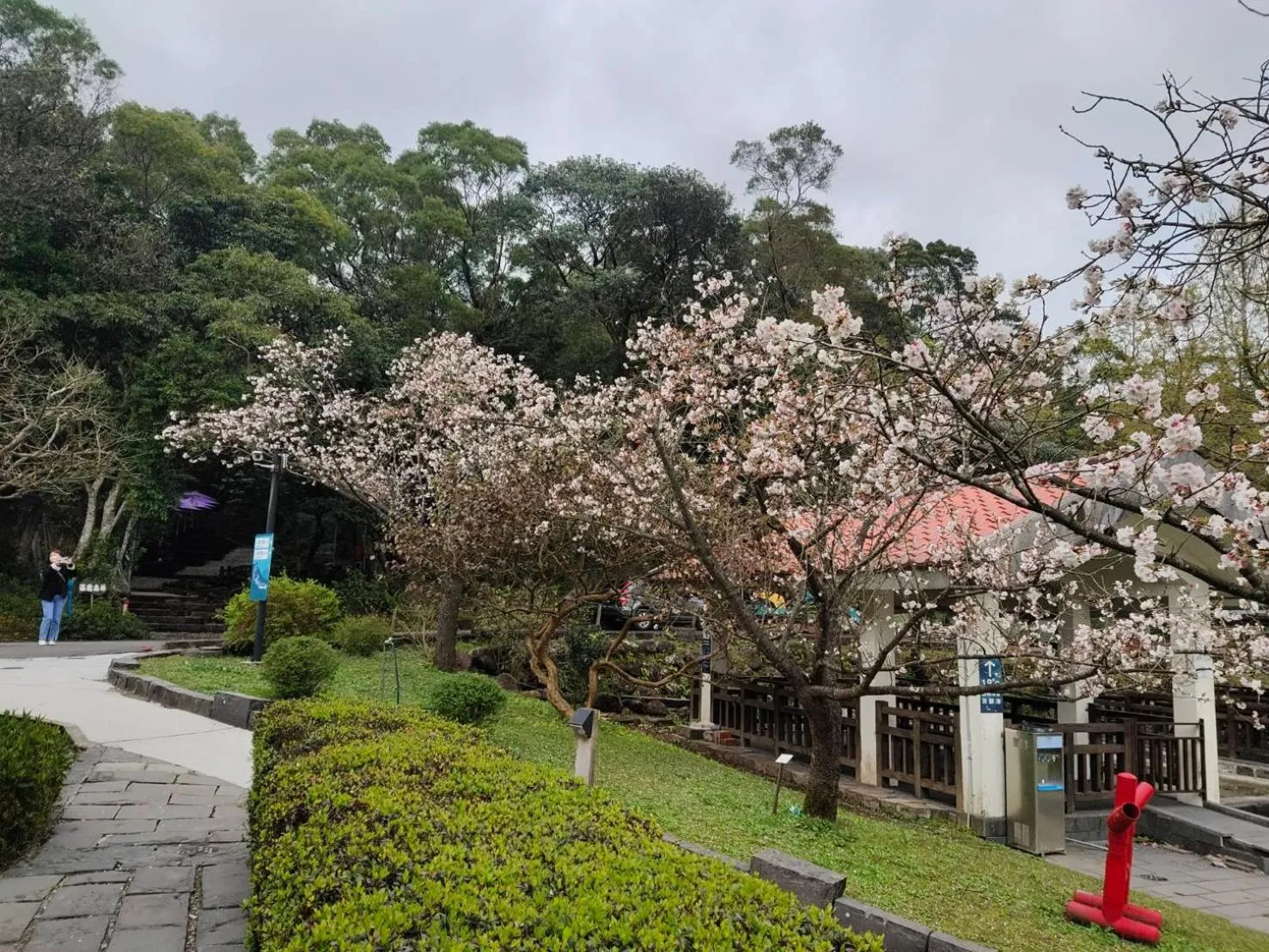 Spring in Yanmin Hot Spring Resort