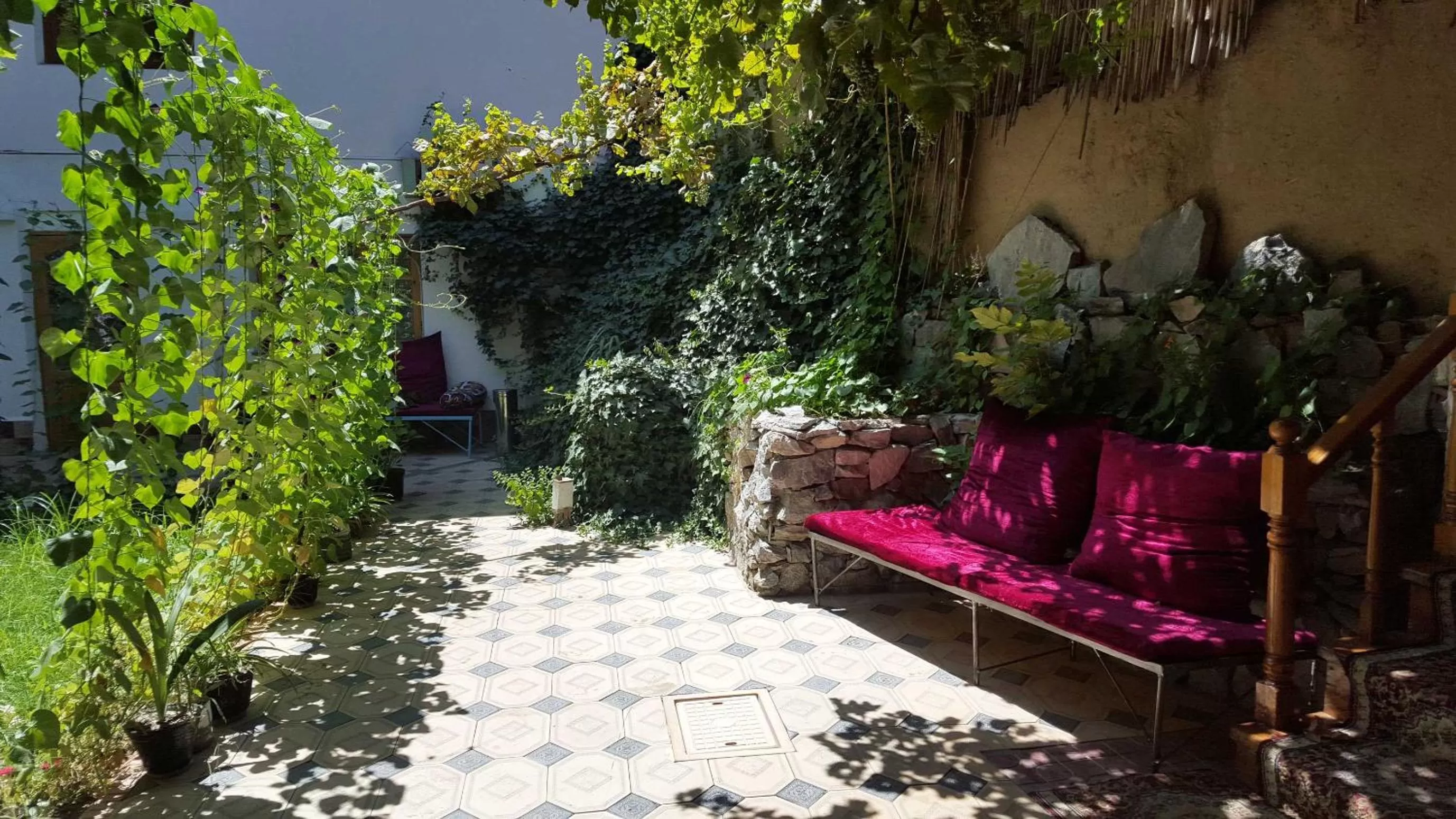 Garden in Jahongir Guest House