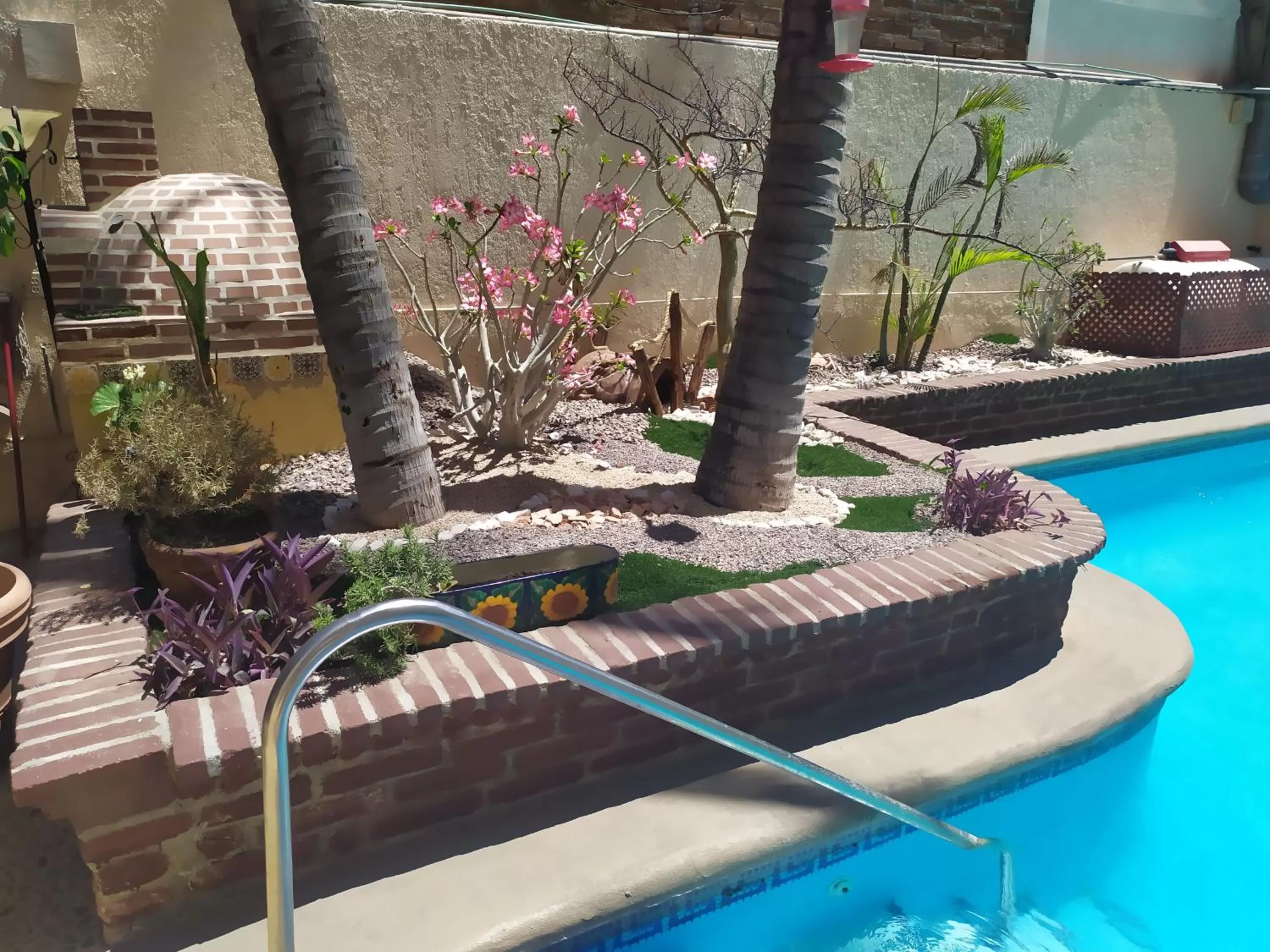 Swimming pool in Las Gaviotas Condo-Hotel La Paz BCS