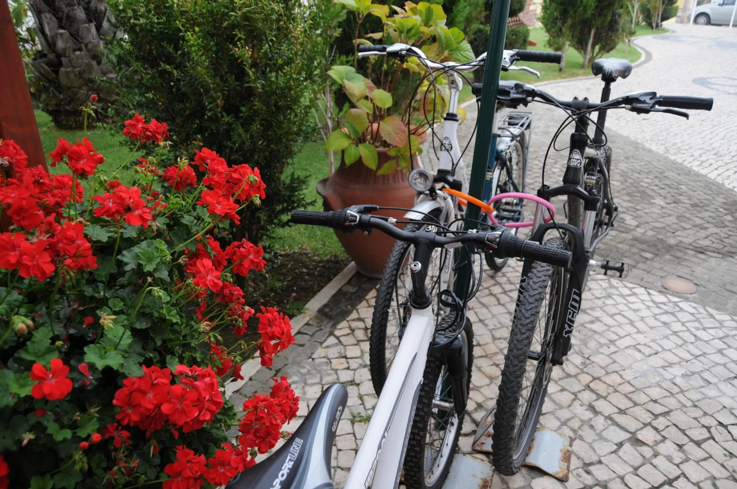 Cycling in Hotel Dom Vasco